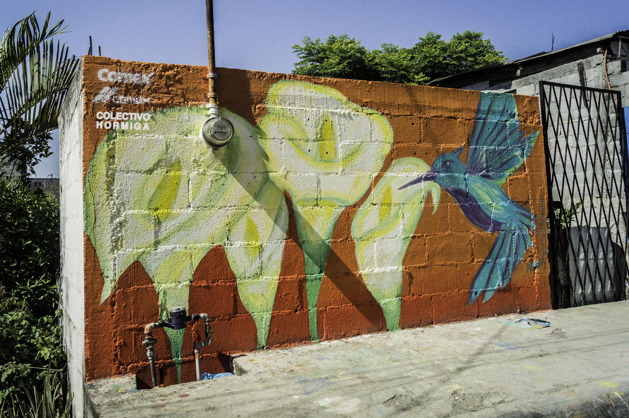 Abrahm y Daniel Hernández, Colectivo Hormiga, Colectivo Tomate&mdash;SN / Galería Arroyo Seco