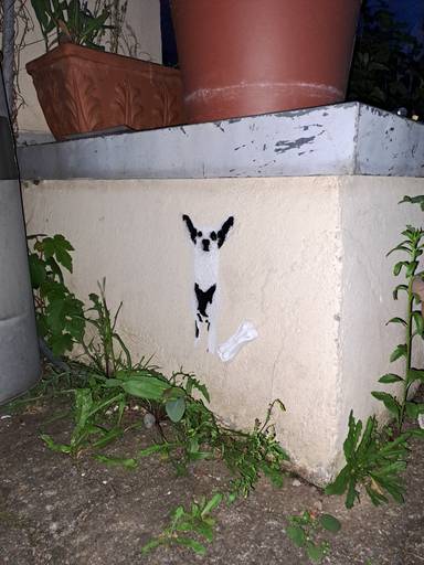Dog n Bone
