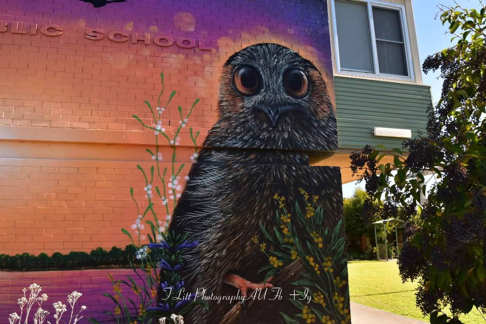 Nitsua&mdash;Owlet Nightjar