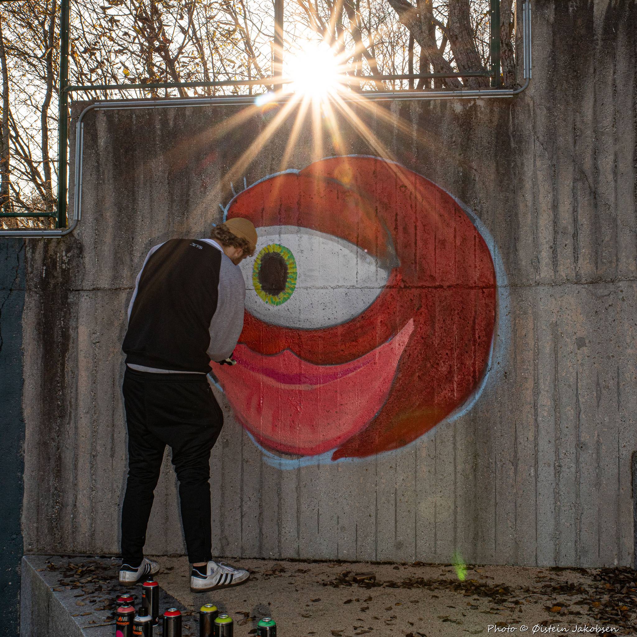 &mdash;Fauskanger II - The Project