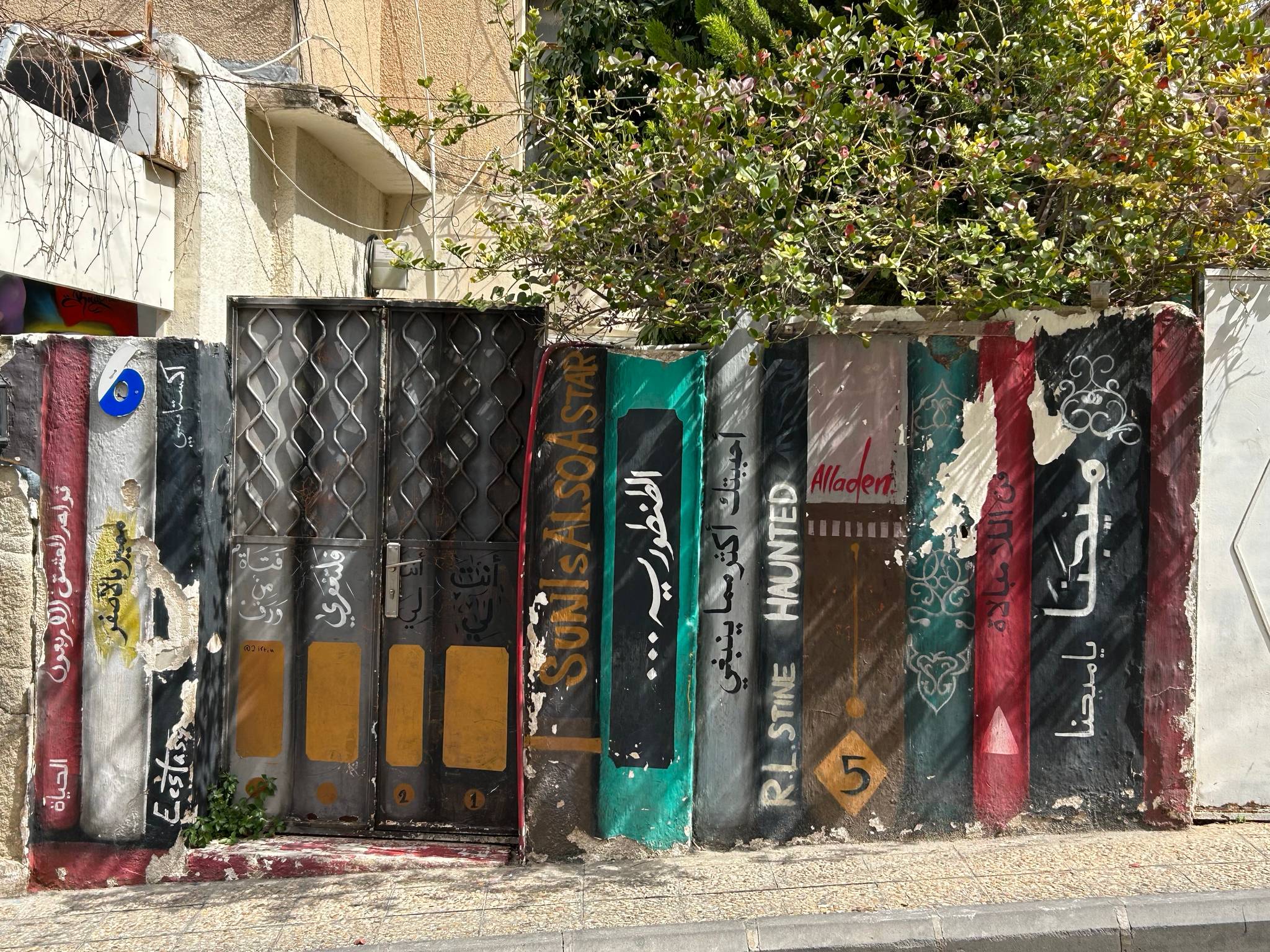 Rayan shafie&mdash;Books