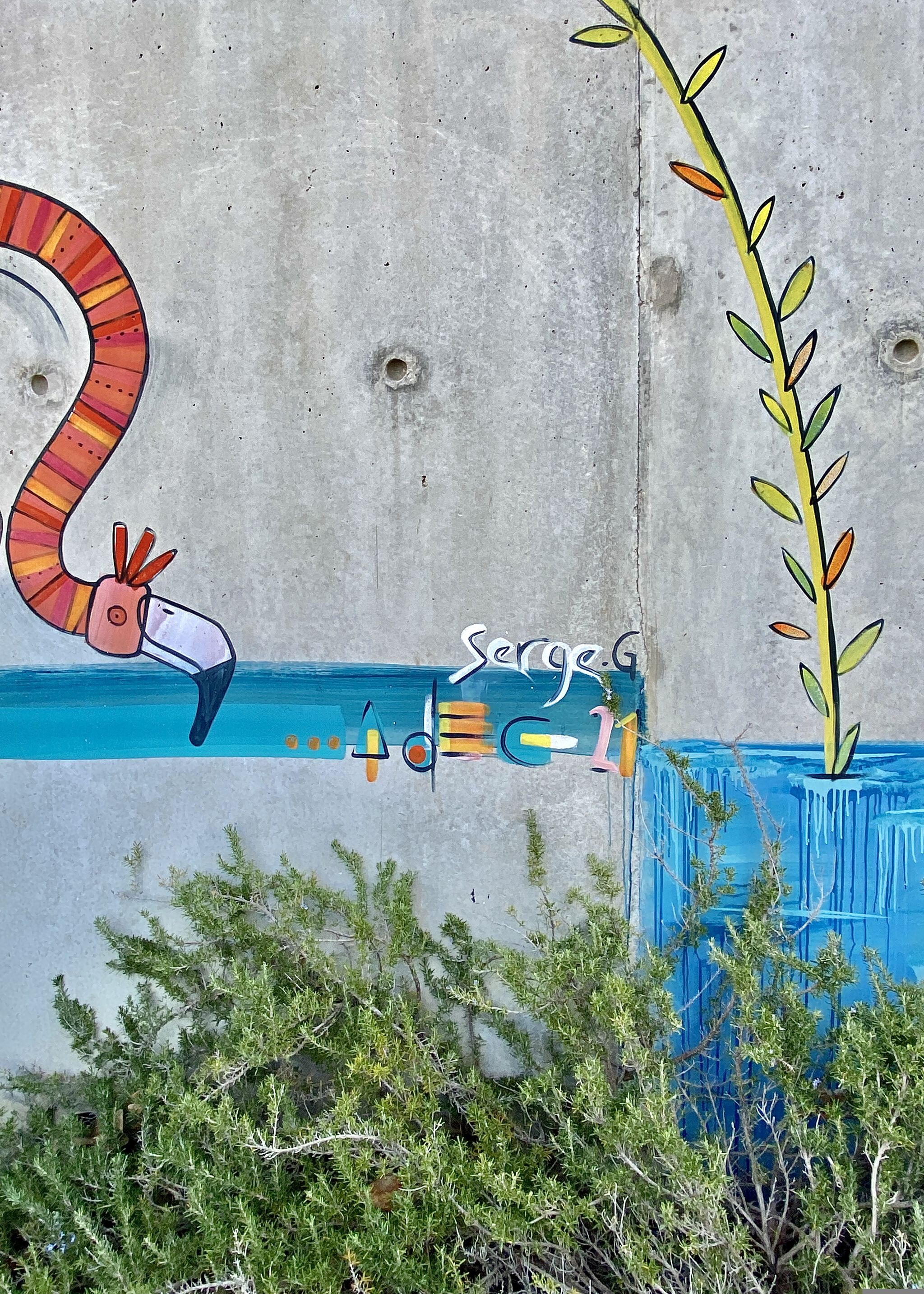 Adec&mdash;Flight of the Flamingos at St Eloi Hospital