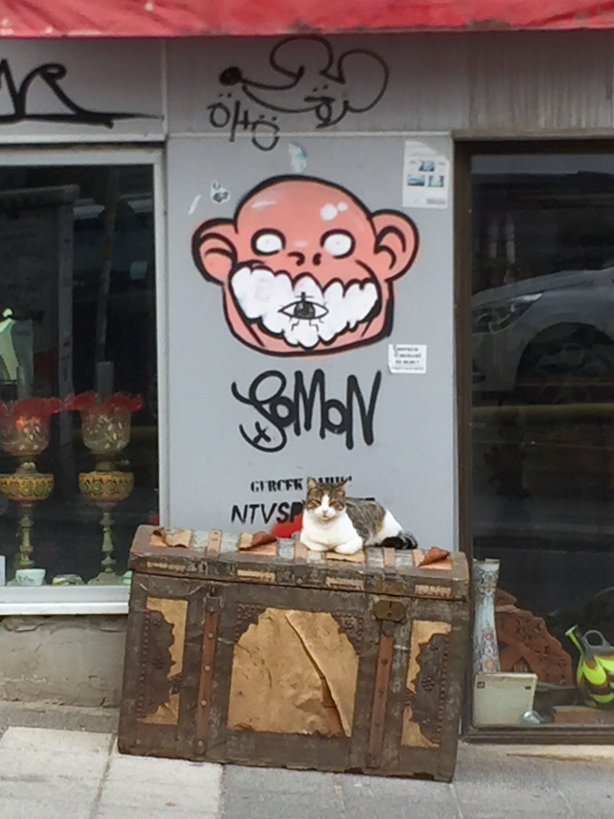 Somon&mdash;Old Man
