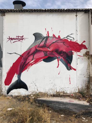 Dolphin Emotions!