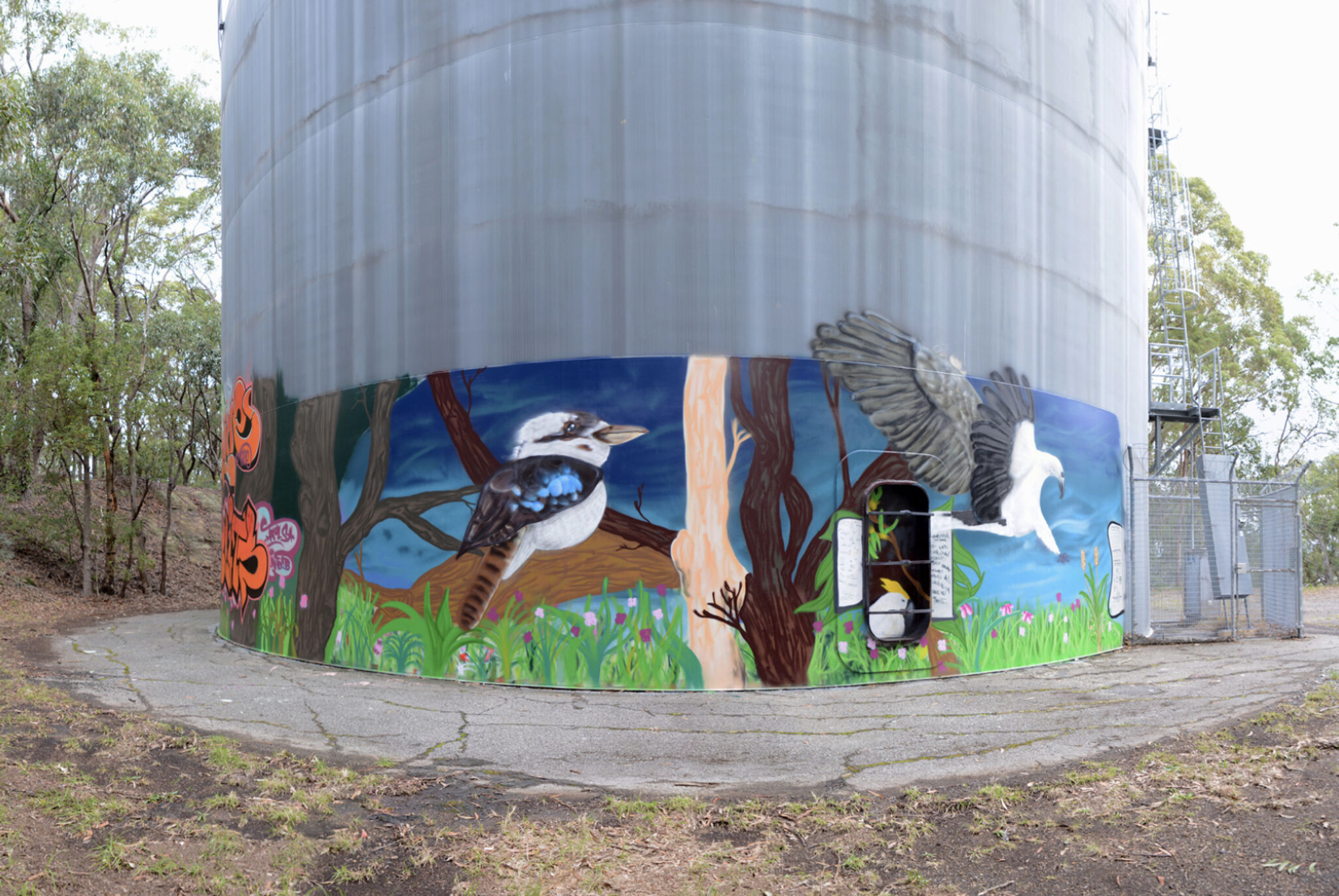 Dan Miller&mdash;Coal Point Water Tank Art