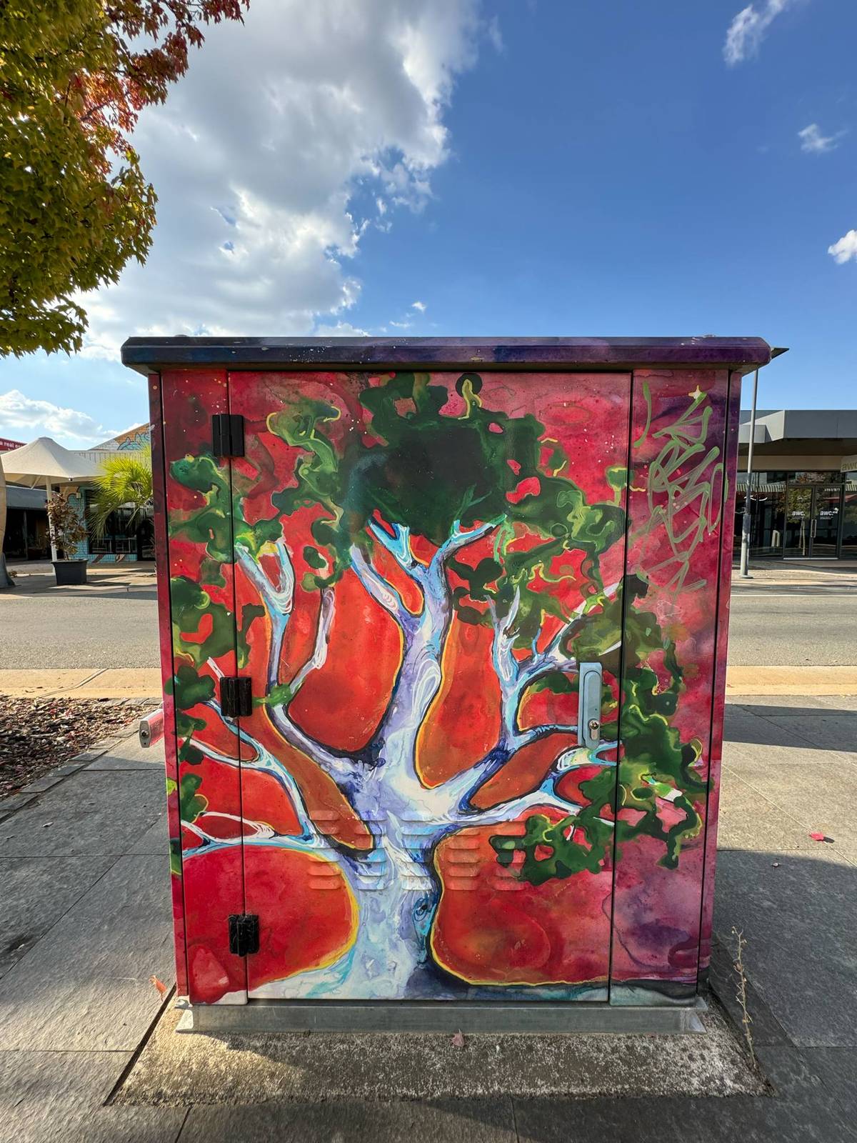 Tracie MacVean&mdash;undefined
