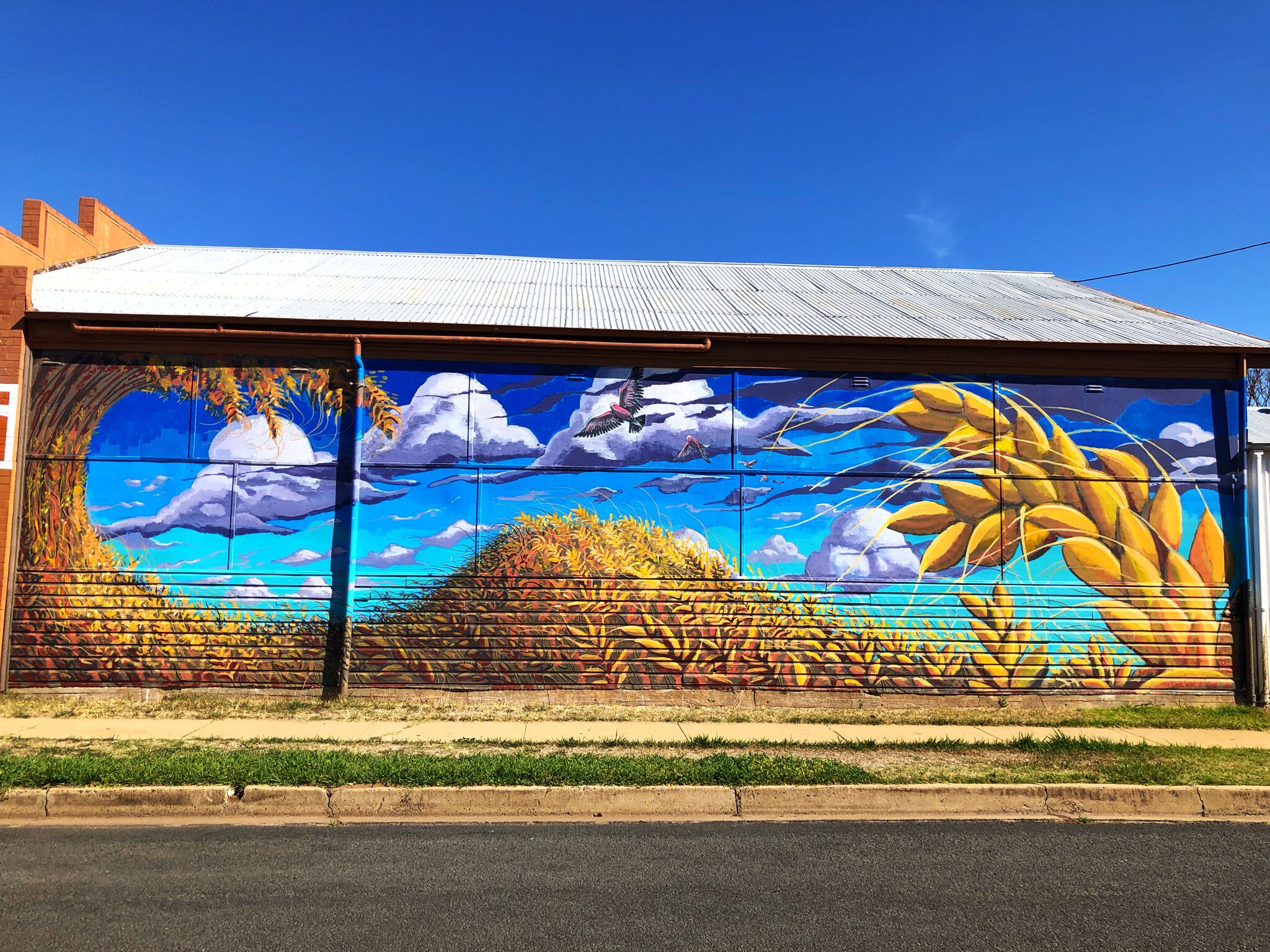 Rudy Kistler&mdash;The Great Wave of Wheat