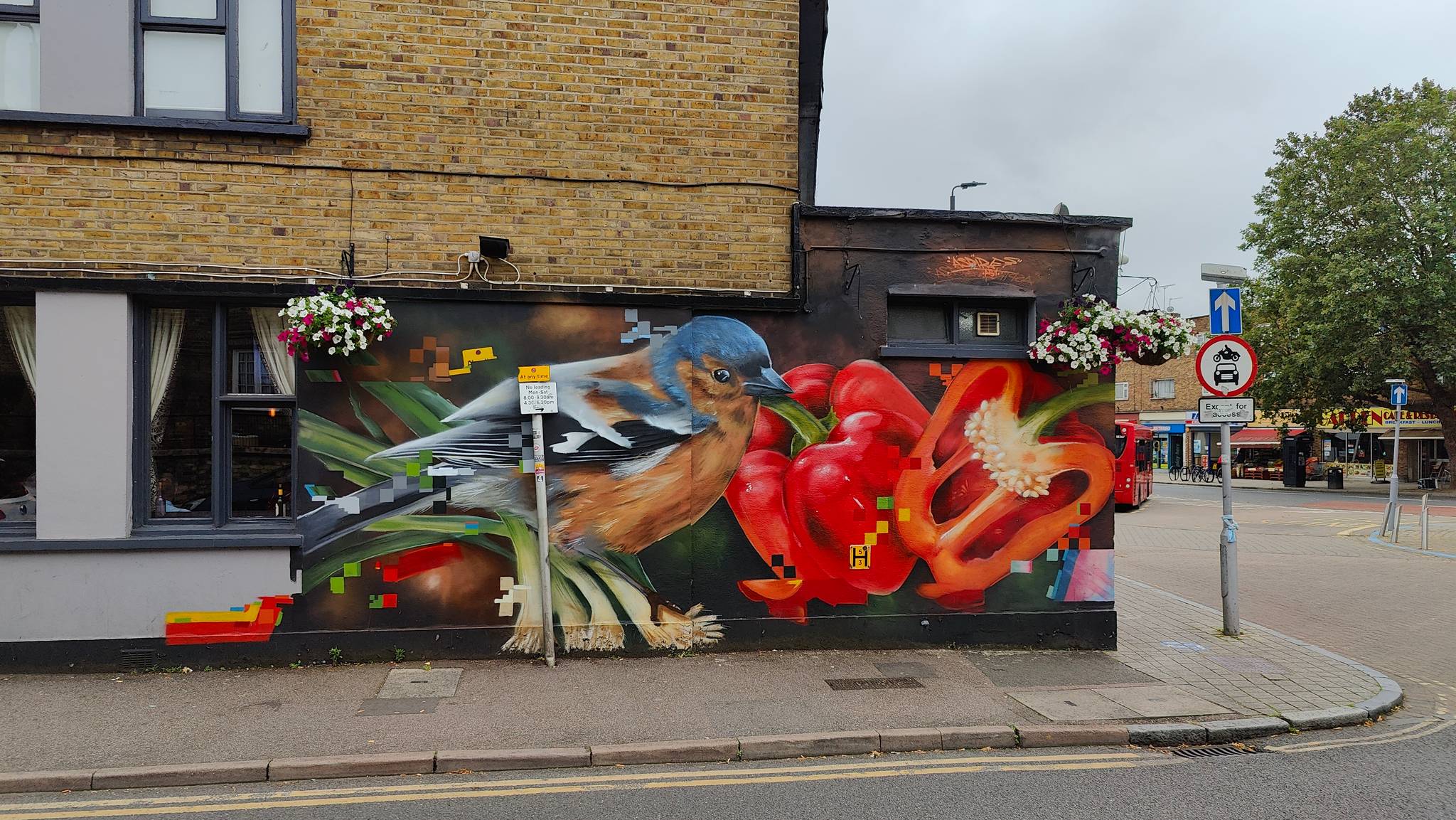 Aspire&mdash;Chaffinch
