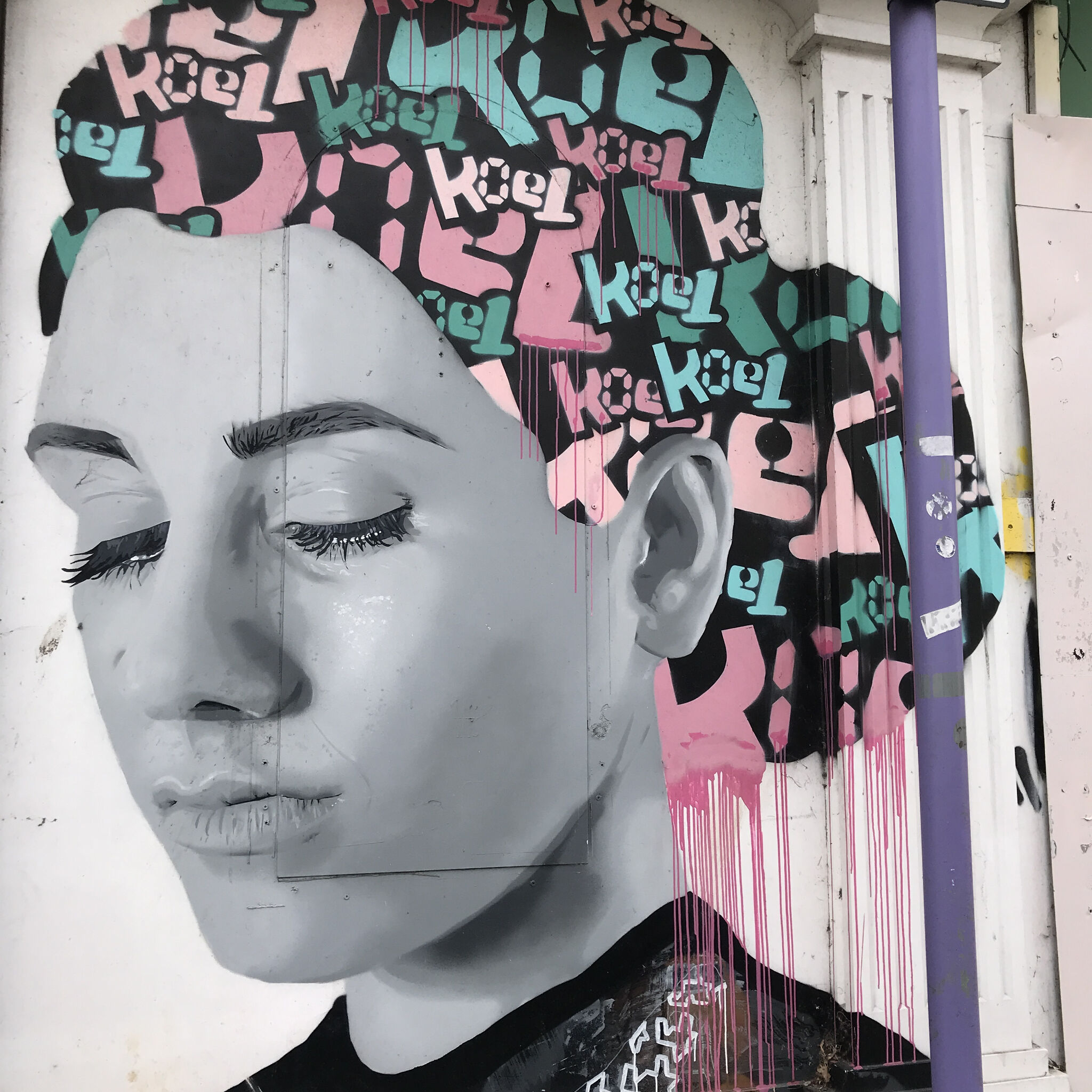 rooabrook, Koe1, Ketones6000, thisismidge, NZIE, Gary Stranger, pogo, RoosArt&mdash;Osborne Road Street Art Gallery