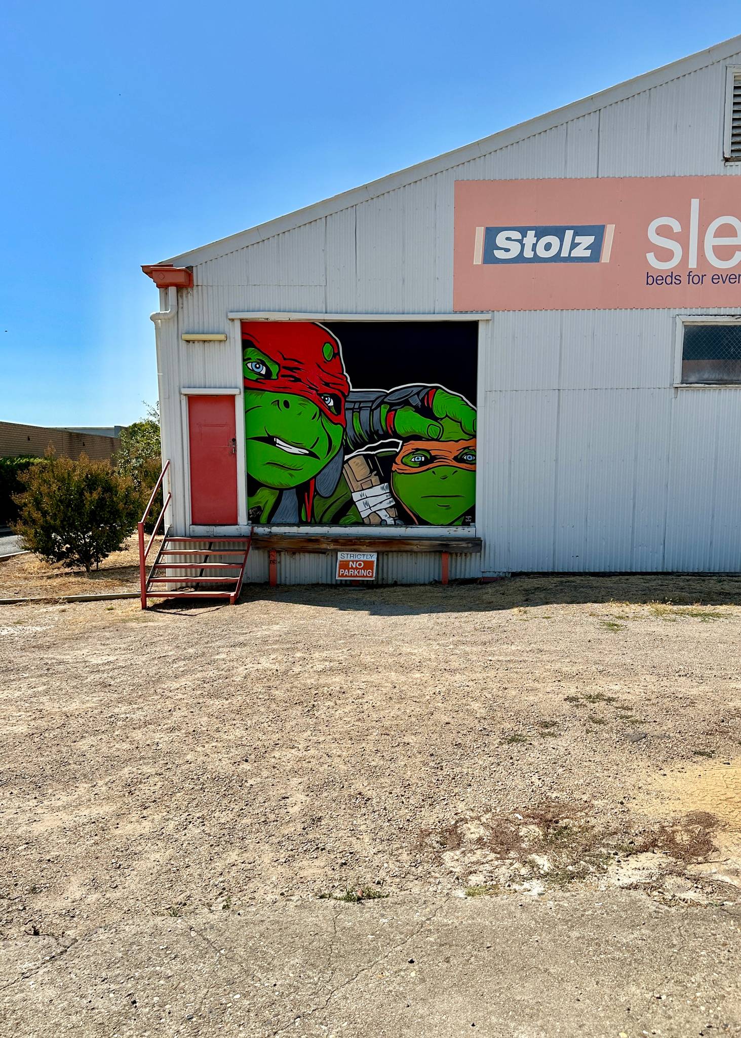 Skinny&mdash;Michelangelo and Raphael
