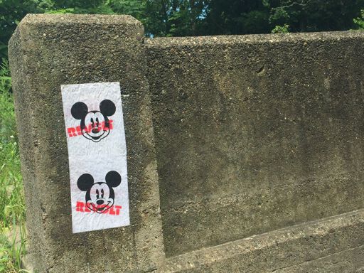 Mickey Revolt