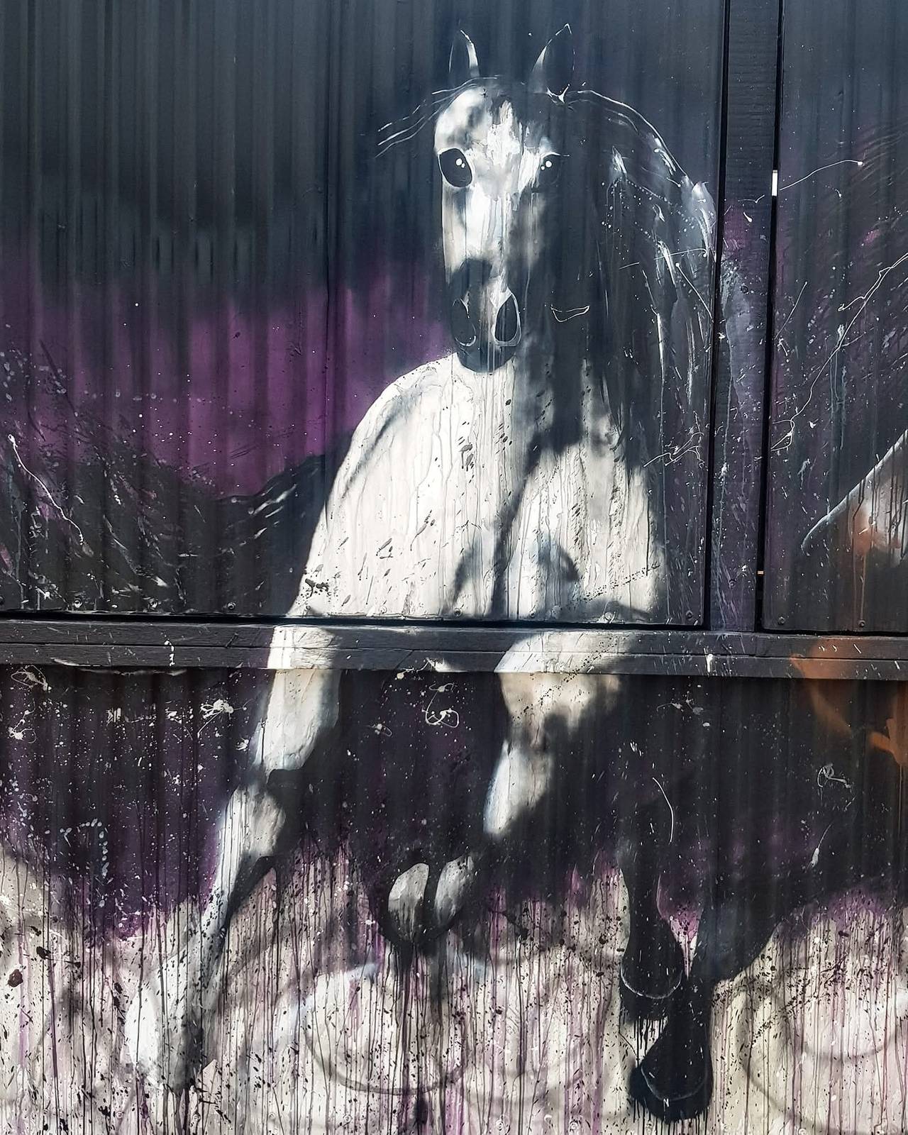 Sobrane&mdash;Bundalong Tavern Rodeo