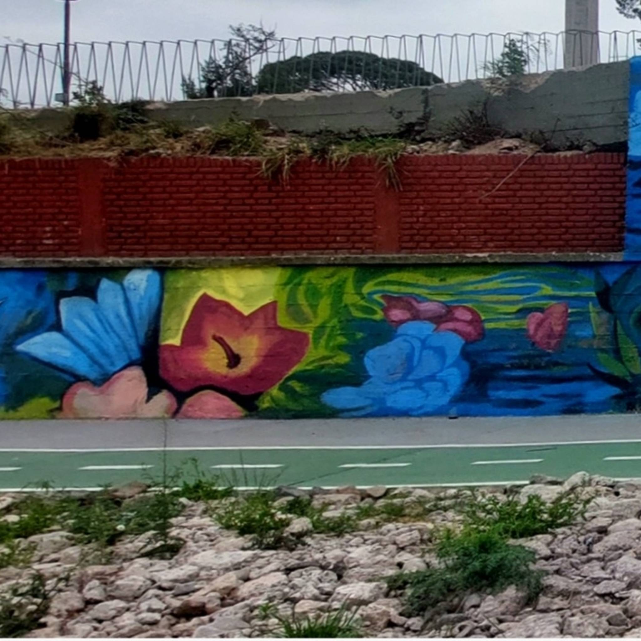 Ariel Ocampo&mdash;Un parque en honor a Elisa