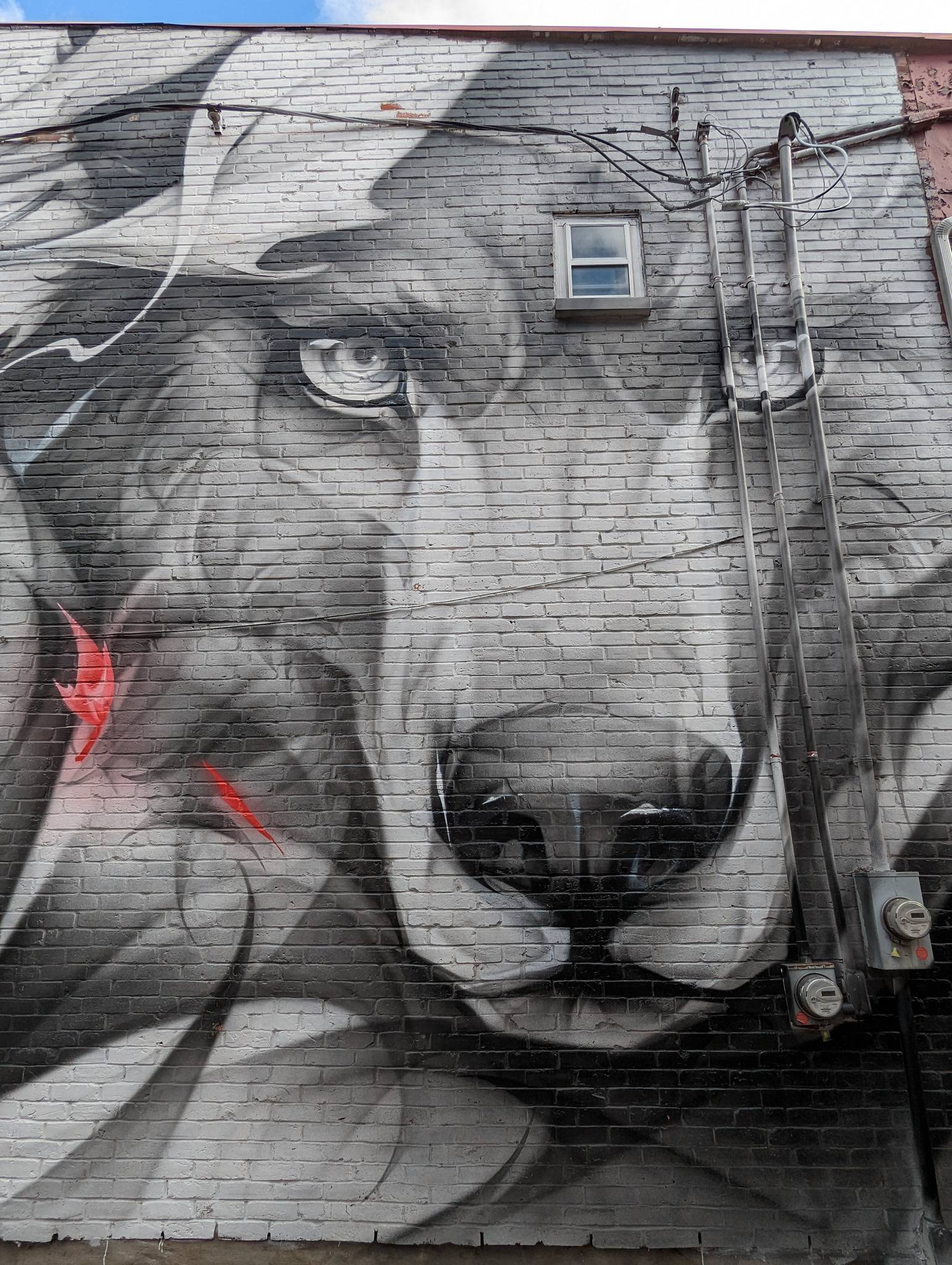 Satr, Street Art In Action&mdash;Canada