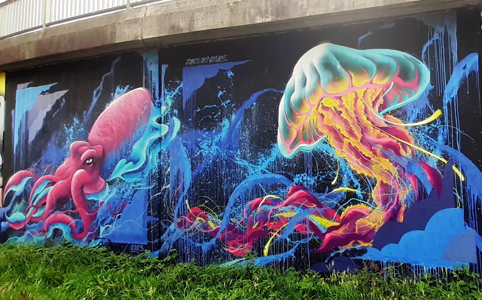 Force of Nature&mdash;Deep in the Sea