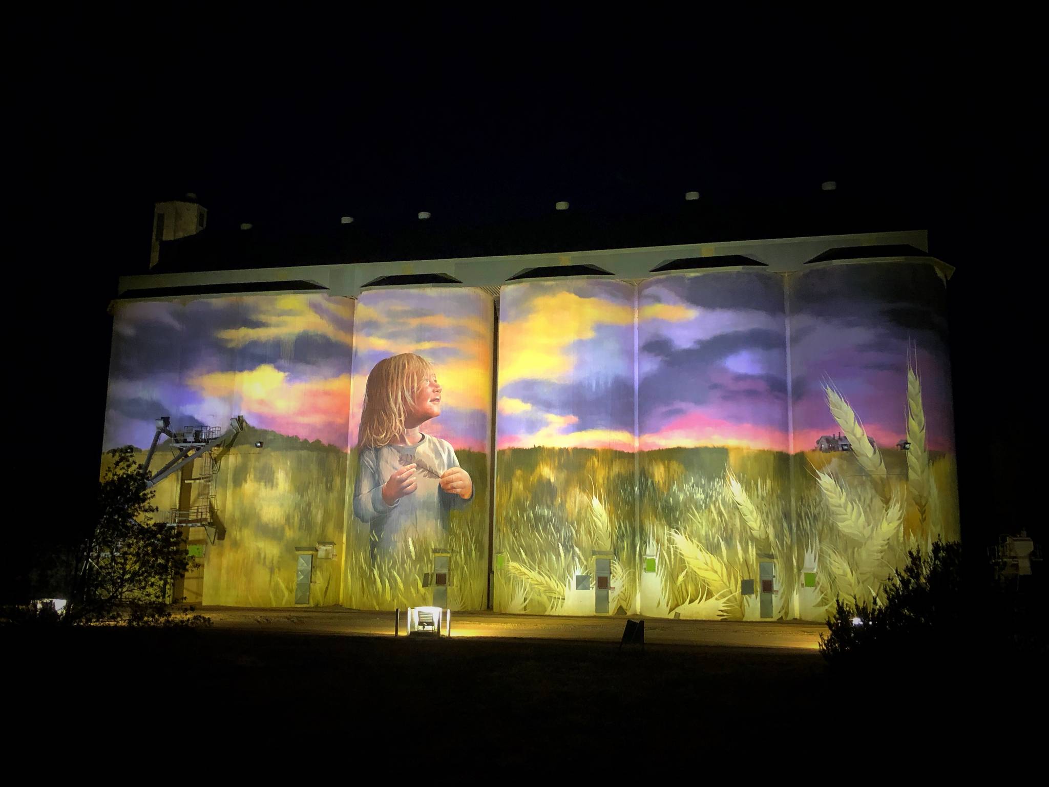 Cam Scale&mdash;Kimba Silo Art