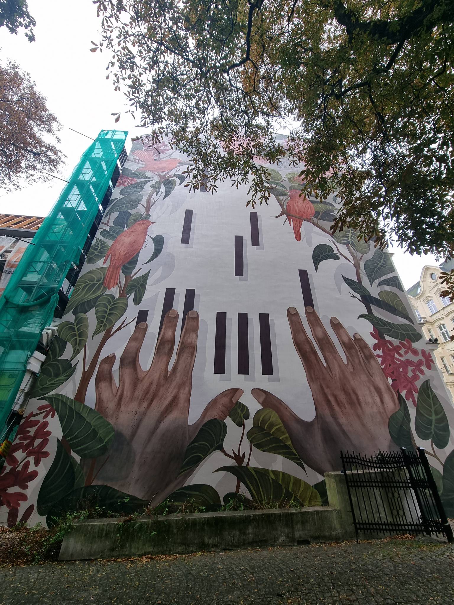 Dorota Piechocińska, MURALL Studio&mdash;Zielona 5