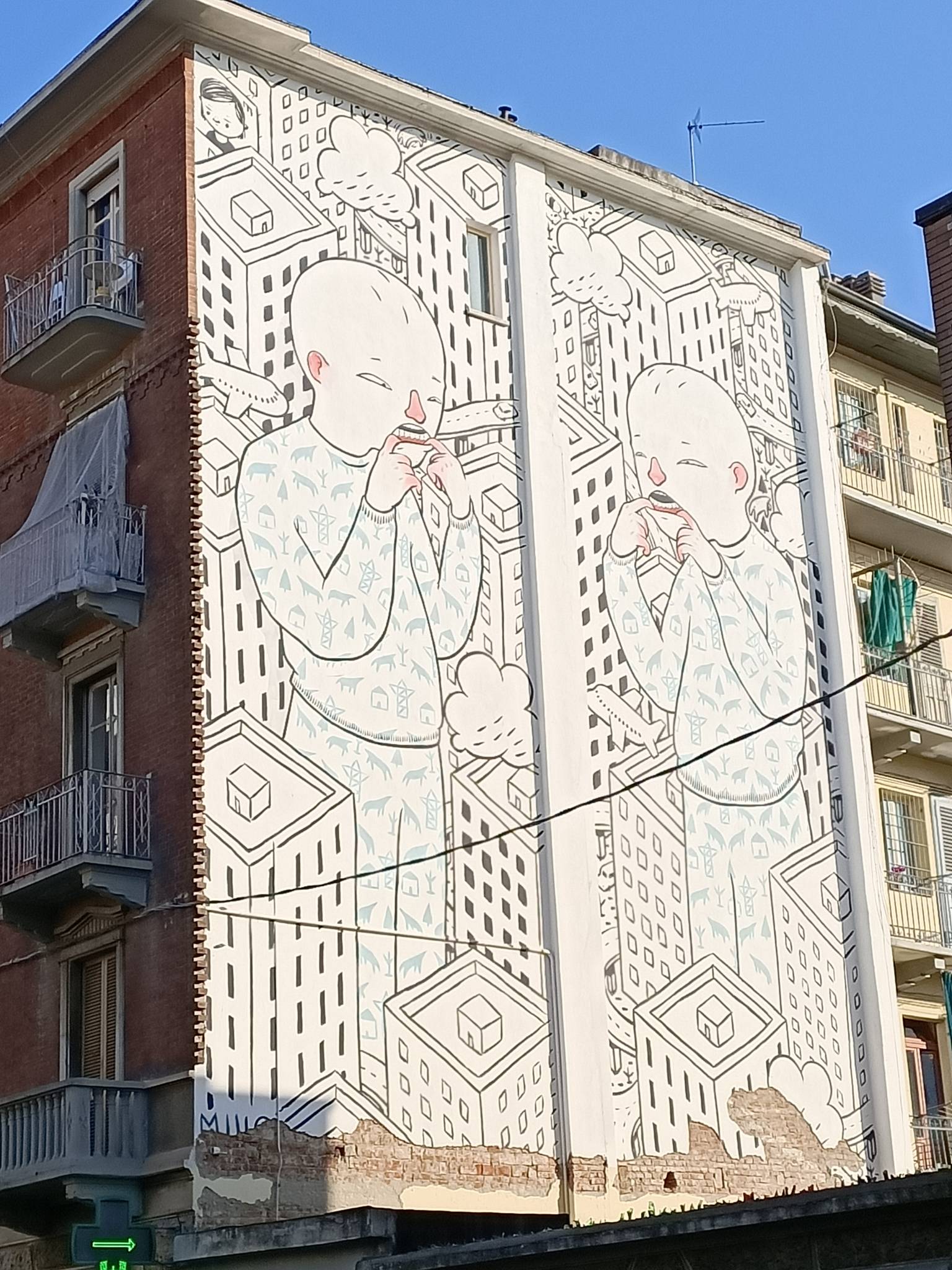Millo&mdash;Mirror roar
