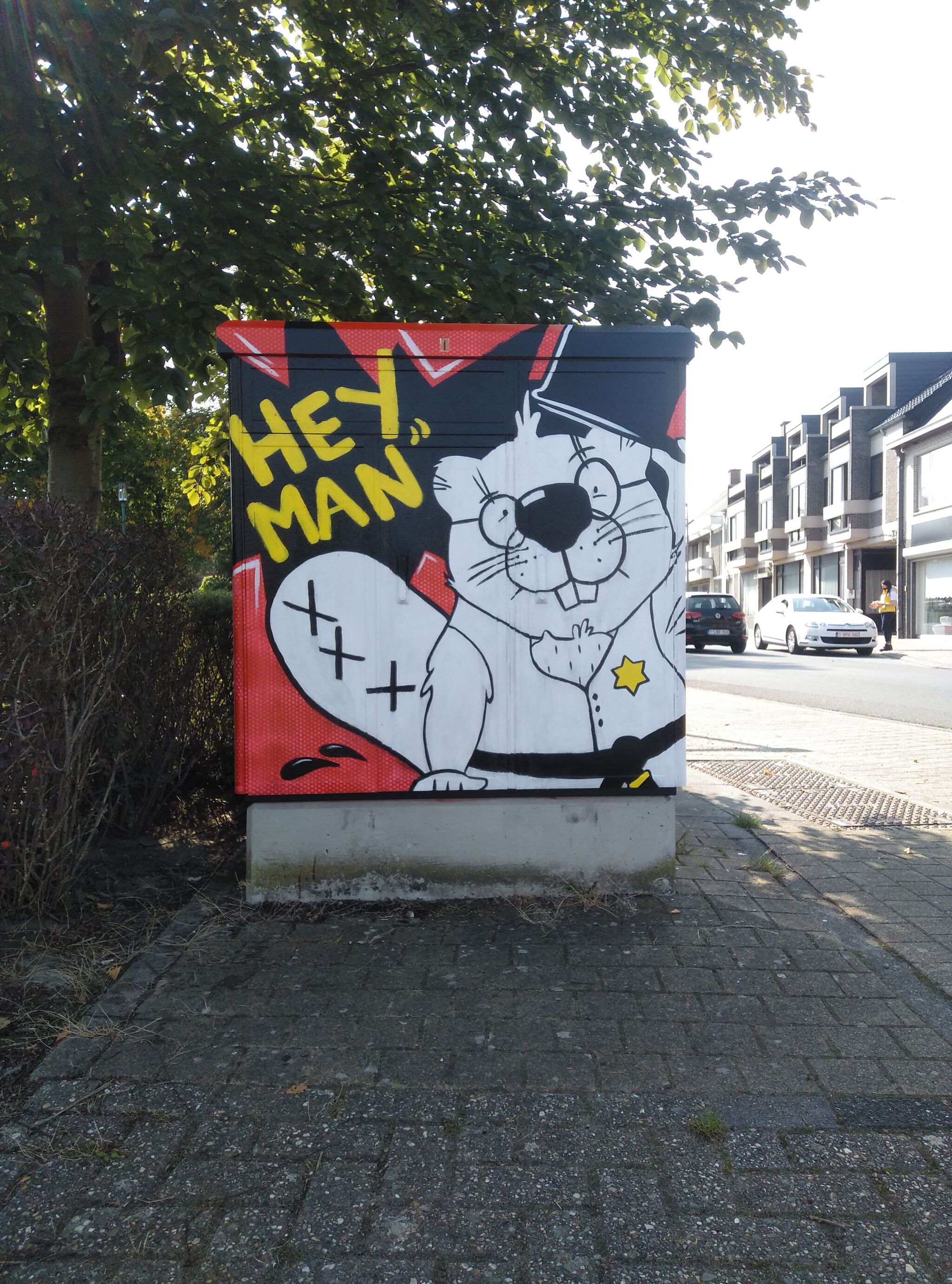 Zuster illustration&mdash;Tour Elentrik - Hey Man!