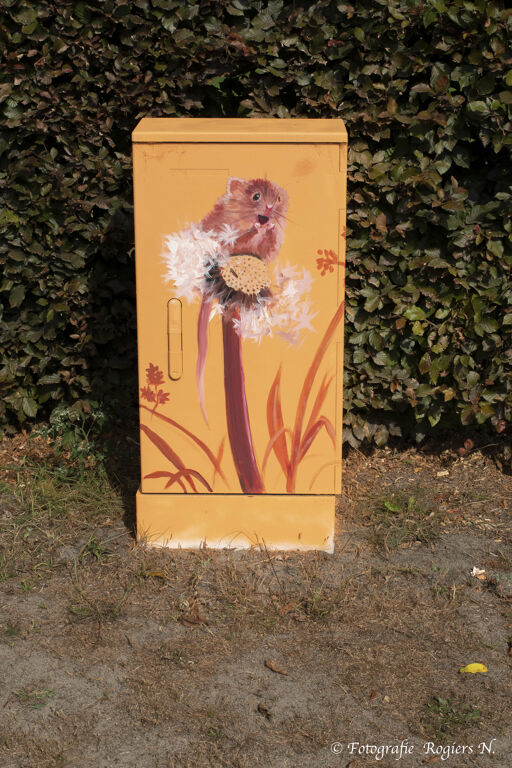 Tour Elentrik - Happy Mouse