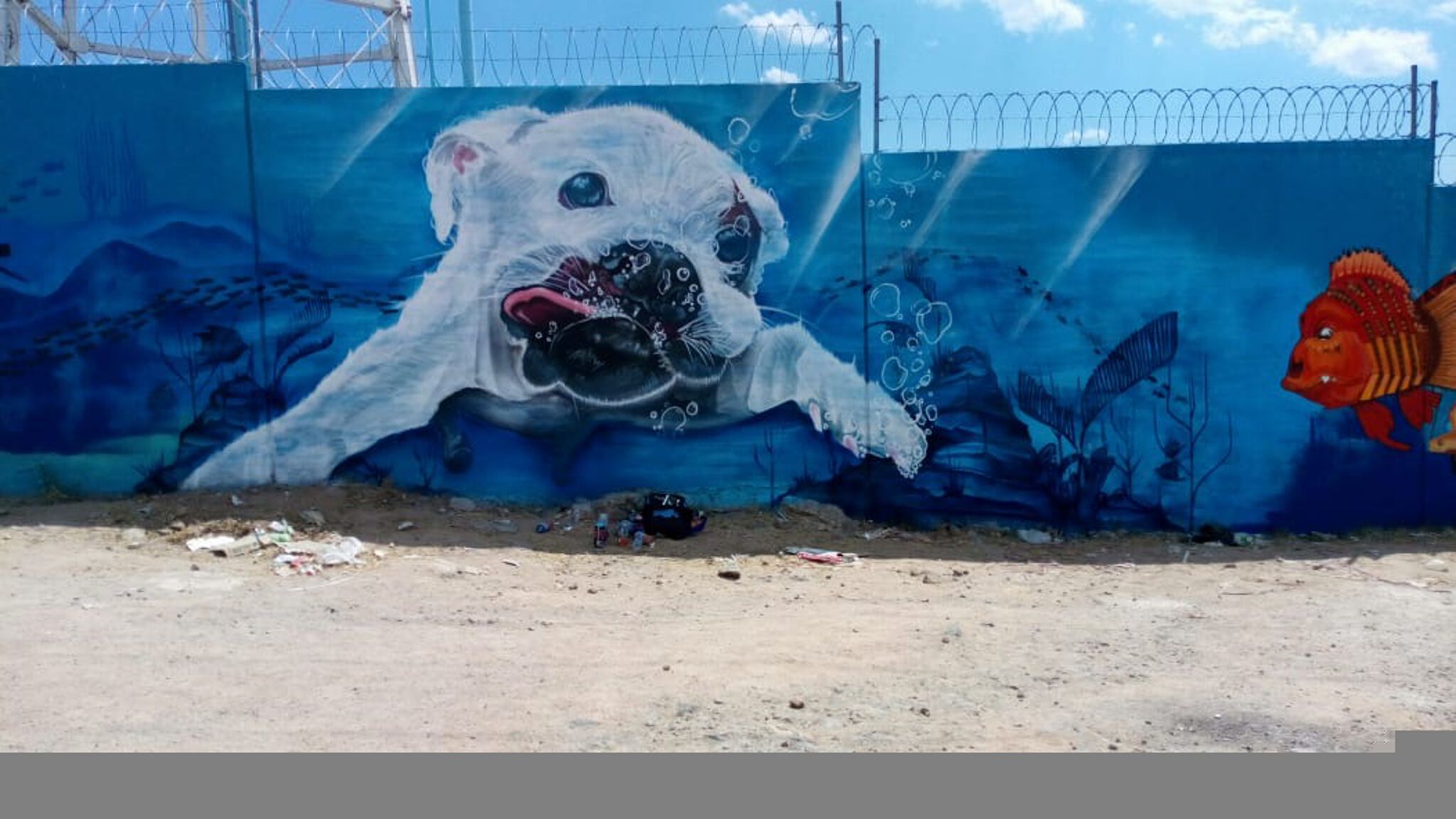 Crook, Jhard, Kart, Moustruo, Onza, San, Baby, Ante, Bhons, Arde, Awer&mdash;Cuidemos el agua / Taking care of water