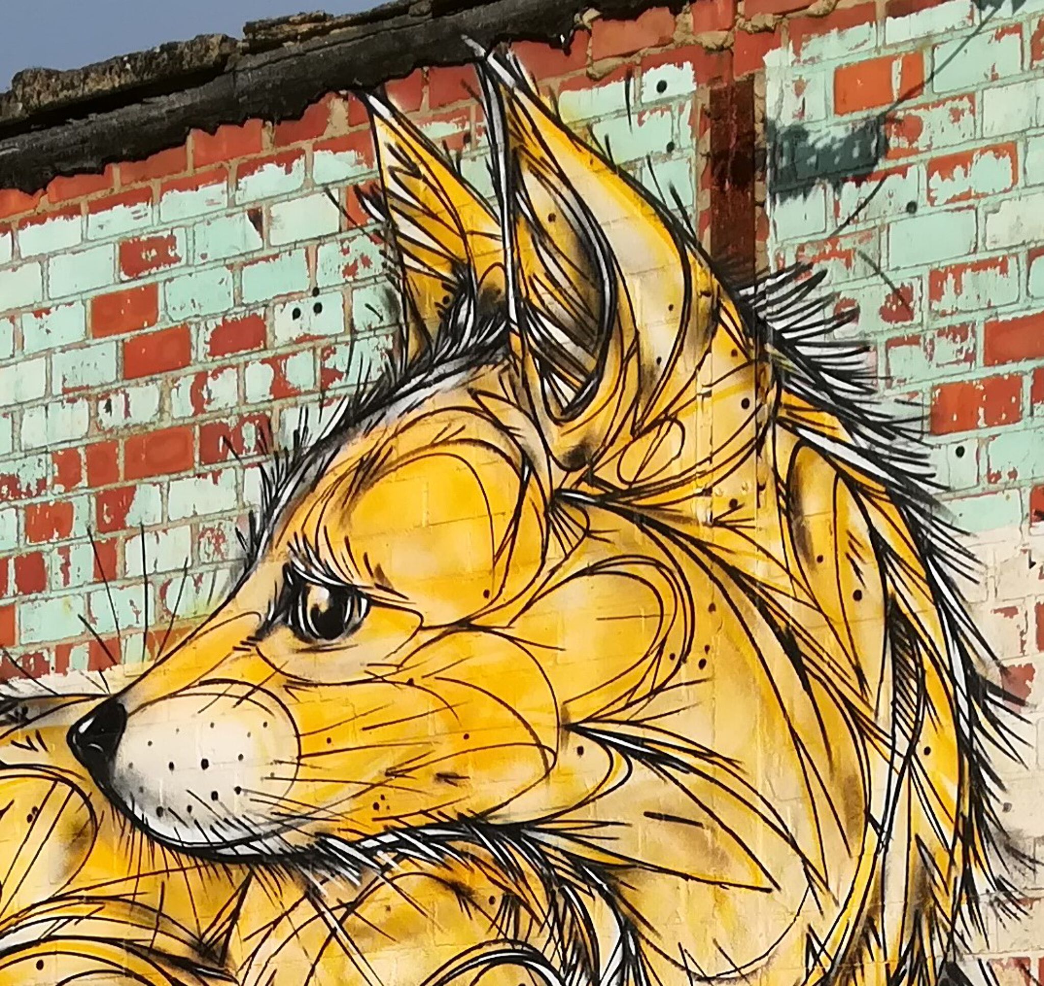 Dzia&mdash;New Fox