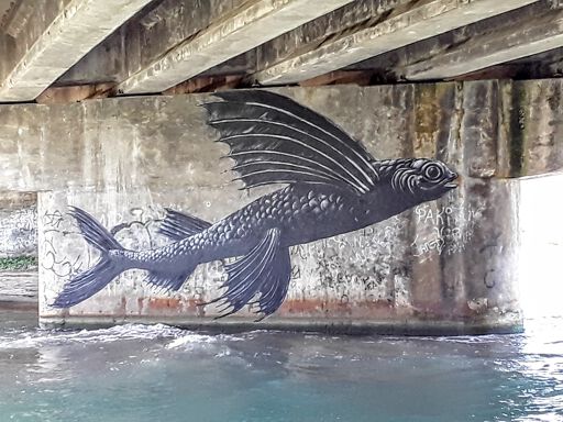 Flying Fish <#PL>