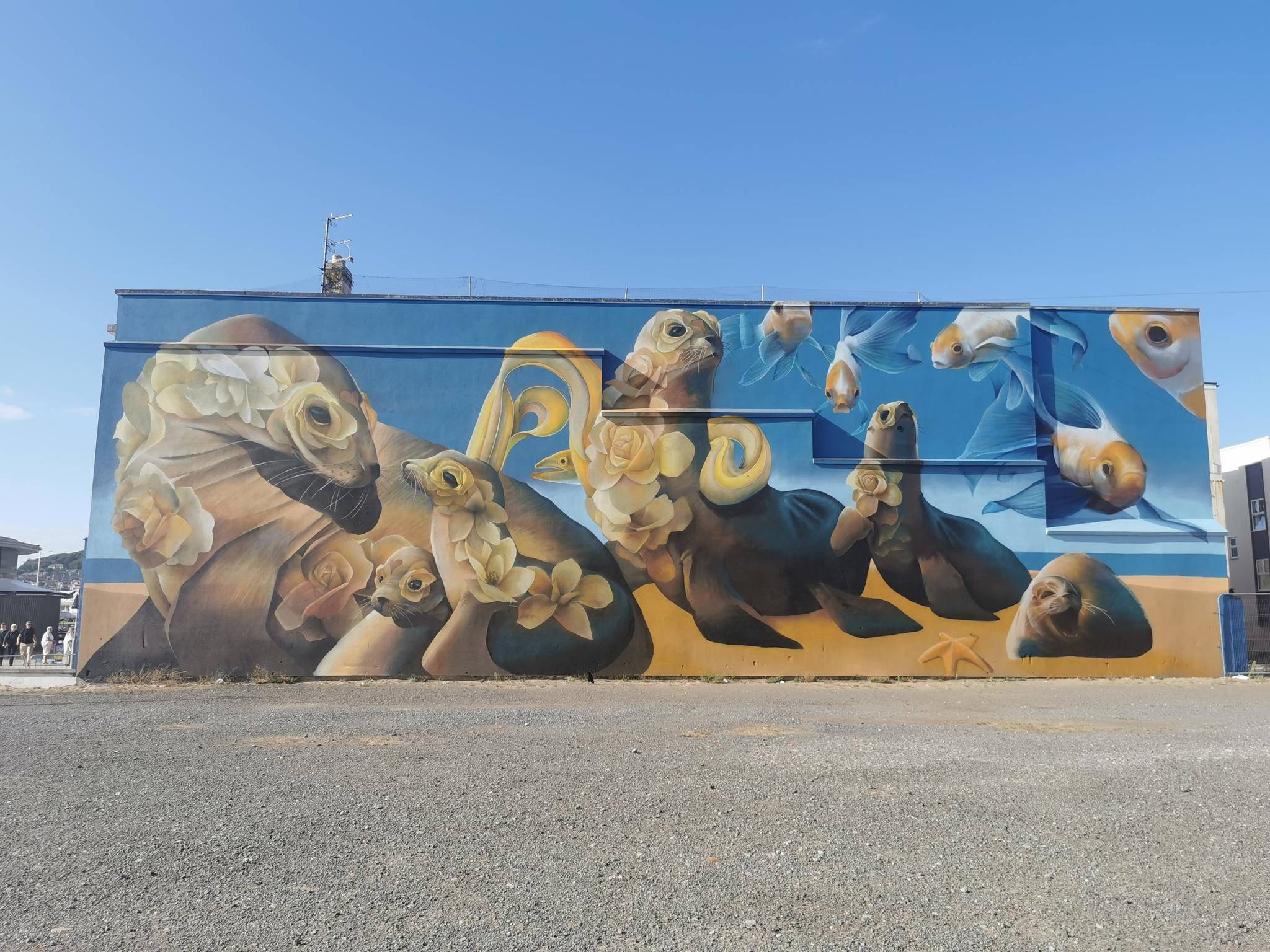 Curtis Hylton&mdash;Seals and Fish