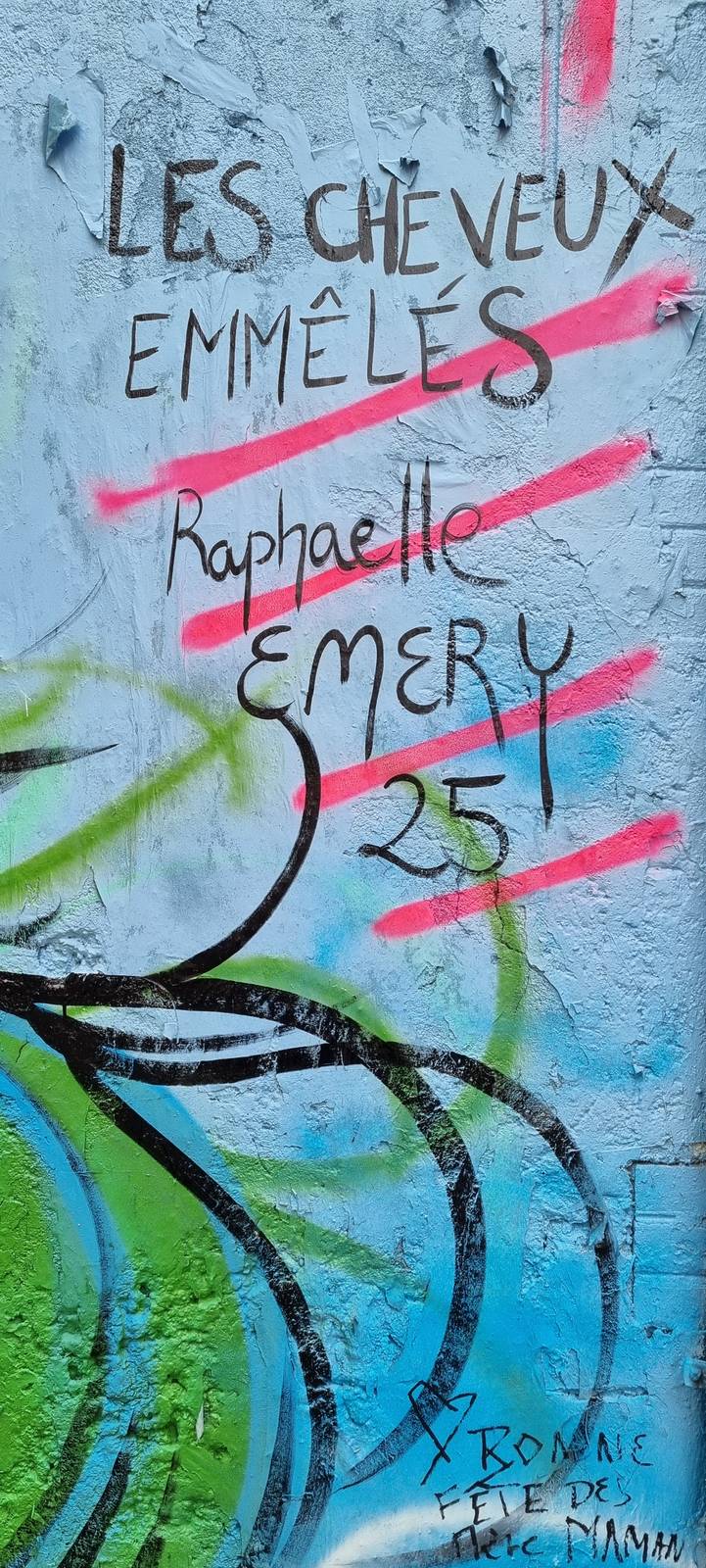 Raphaelle Emery&mdash;Les cheveux emmêlés