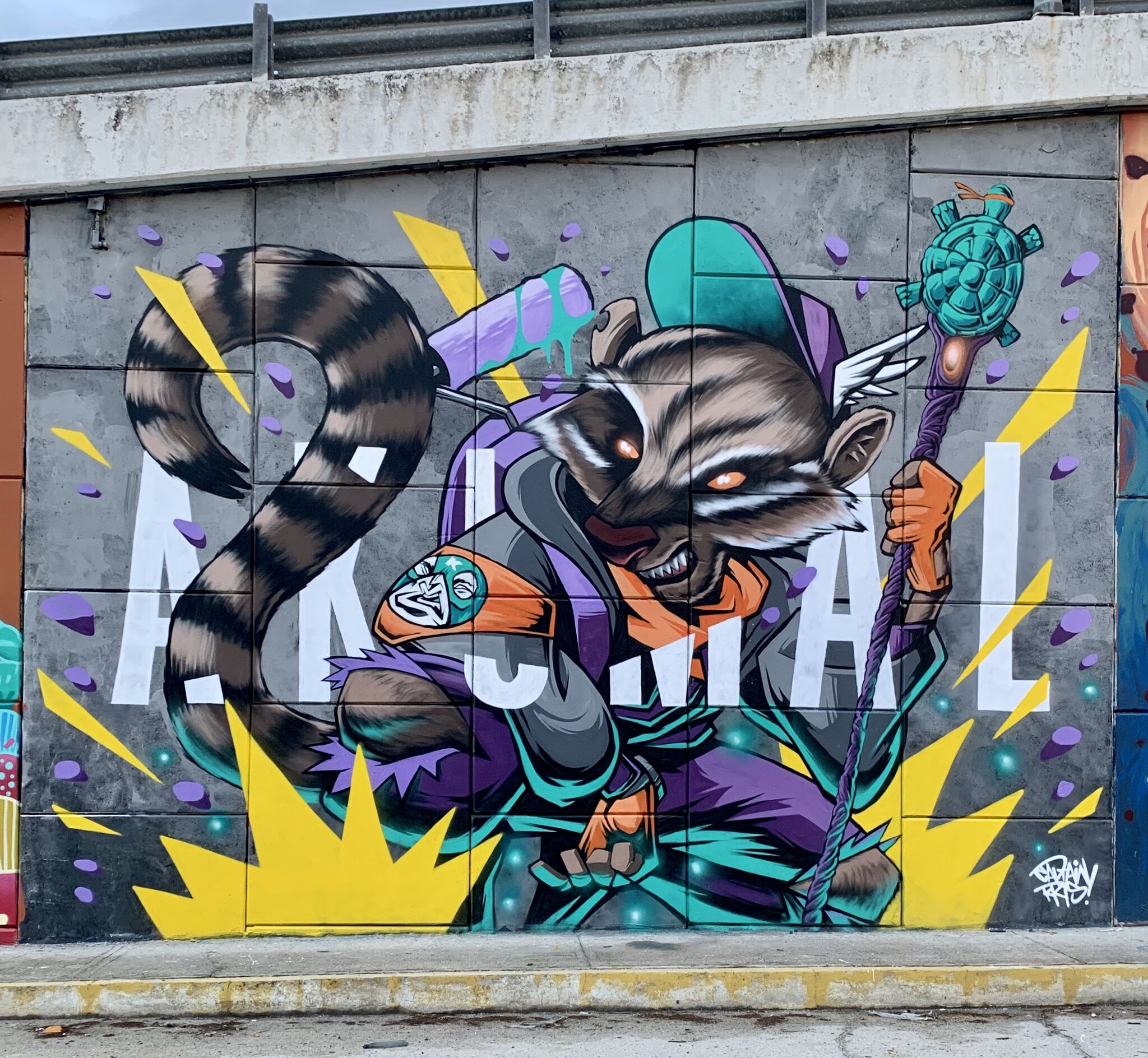 Captain Kris&mdash;Urban Coati