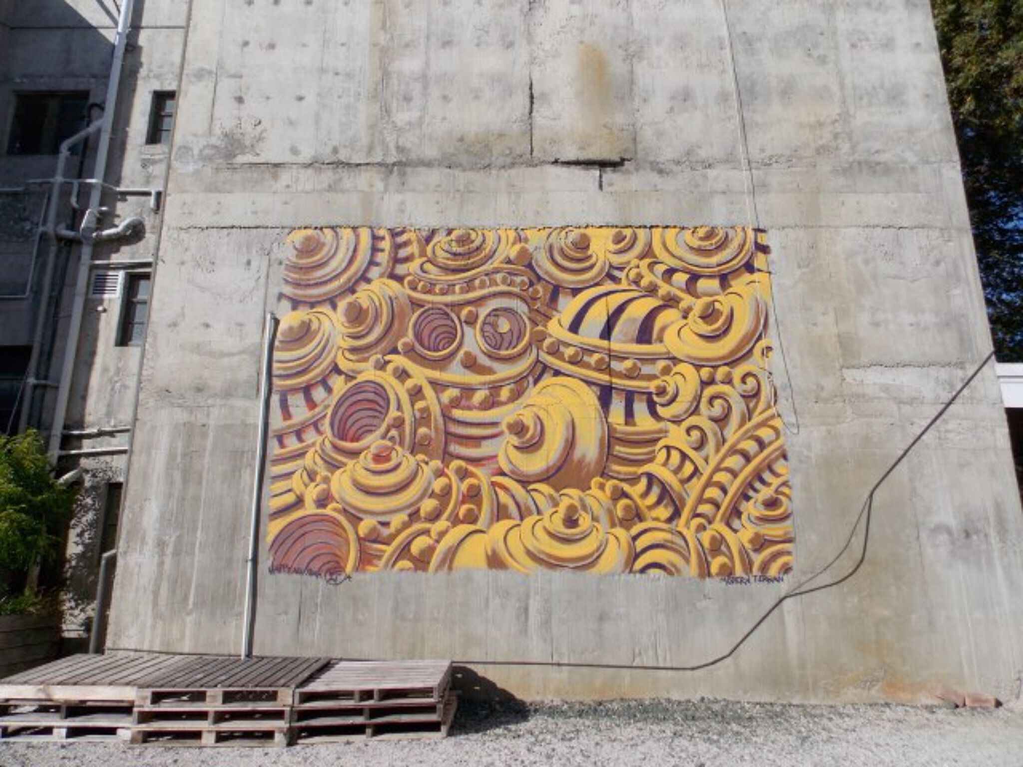 Chris Finlayson&mdash;Modern Terrain