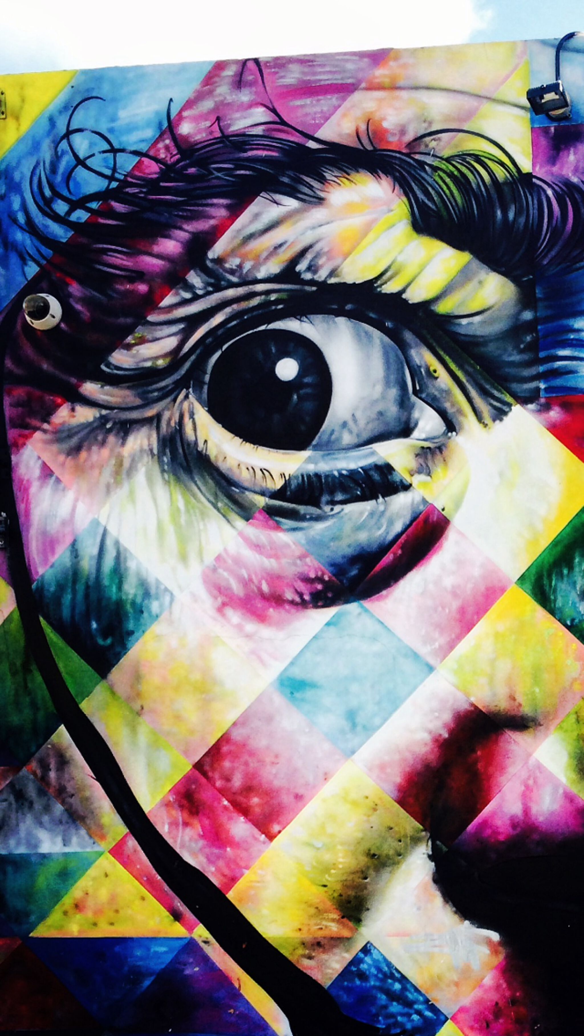 Eduardo Kobra&mdash;Salvator Dali
