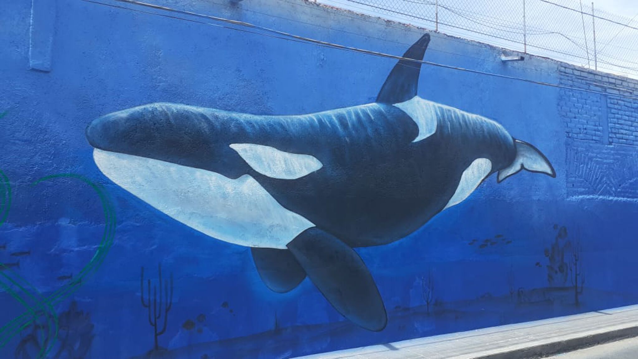 Jhard, Crook, Moy, Moustruo, Push, Ante, Brote, Asme&mdash;Sea Life