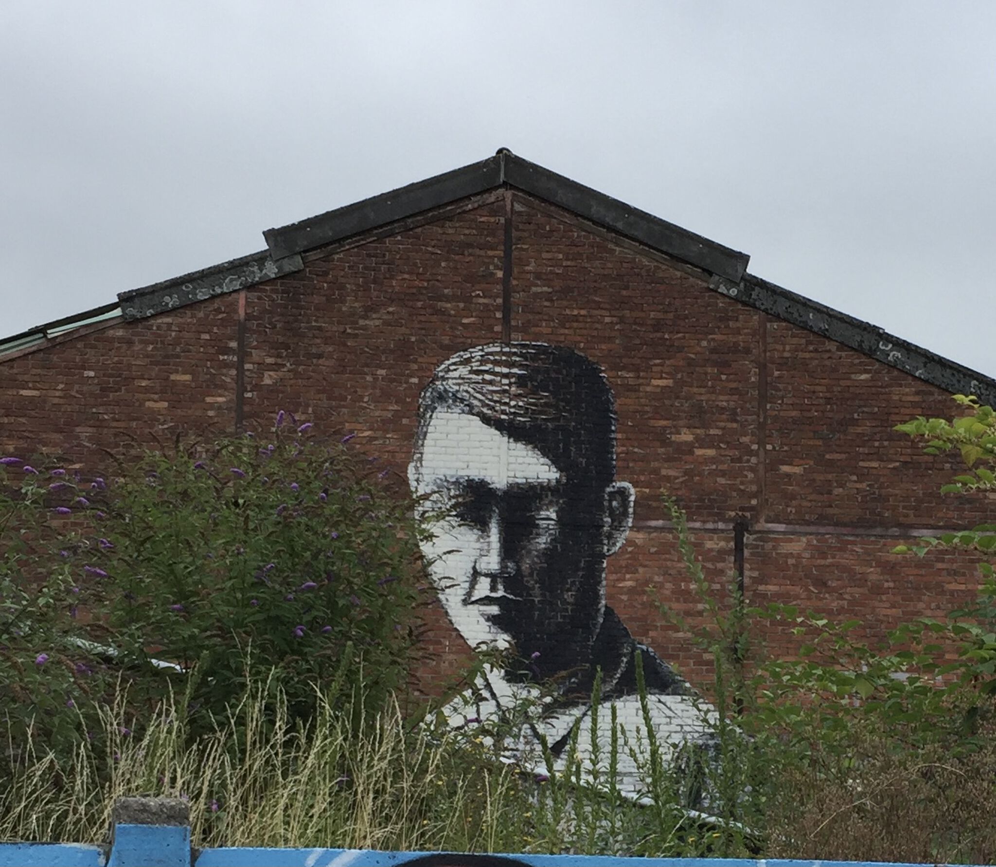 Bisser&mdash;Portrait at Brugbergpad
