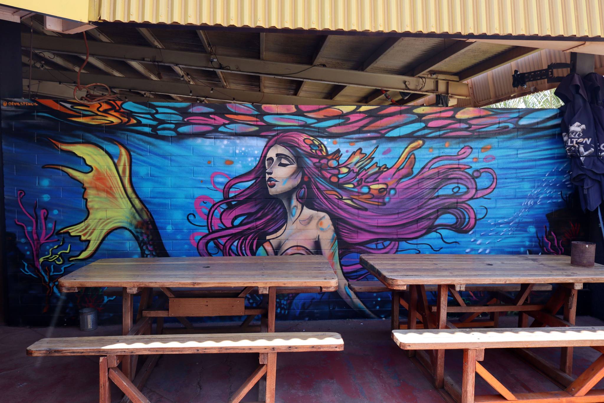 Dean de Villiers&mdash;Dampier Mermaid
