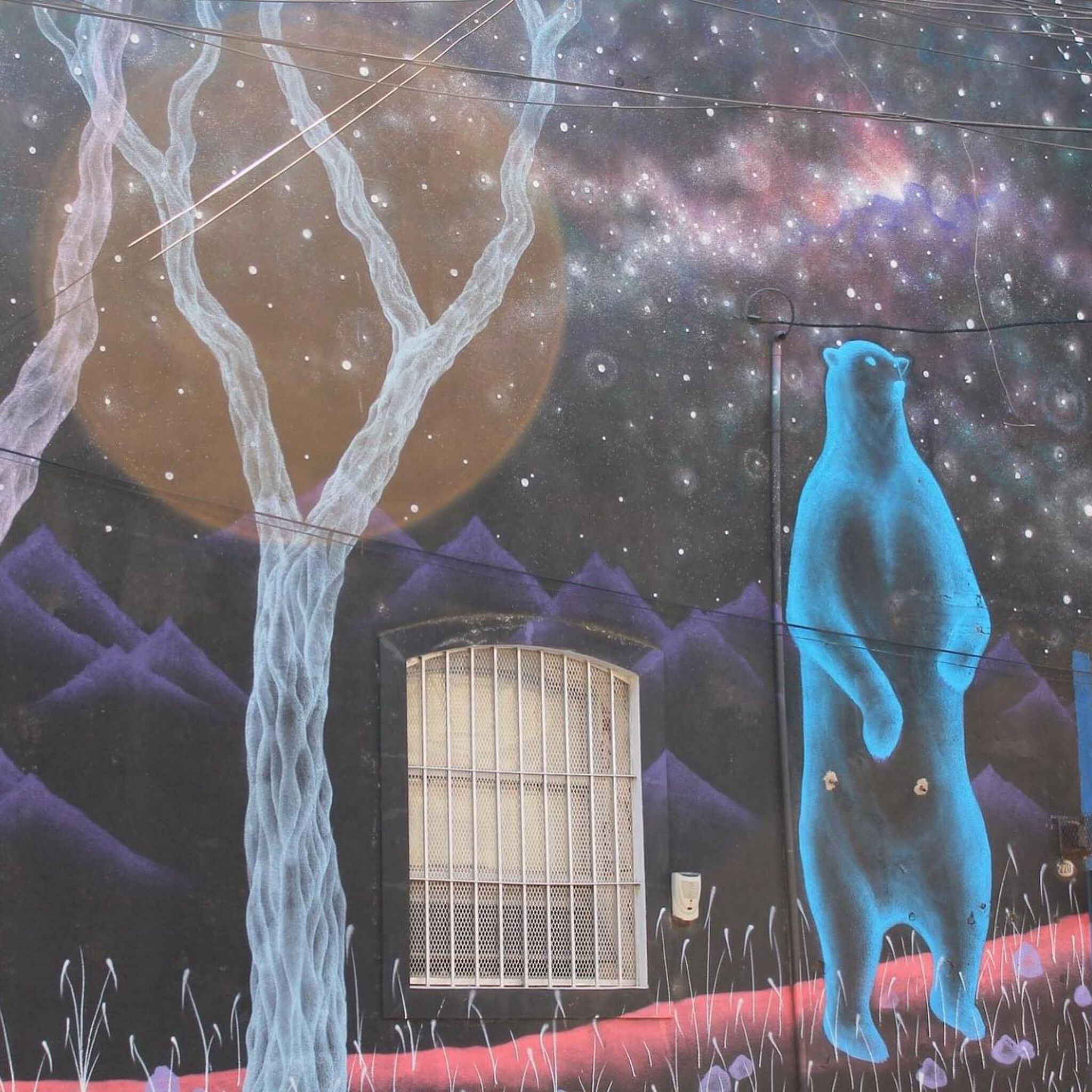 Mariana Zumi&mdash;Osos (Bears)