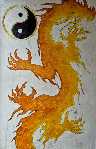 Ying Yang Dragon