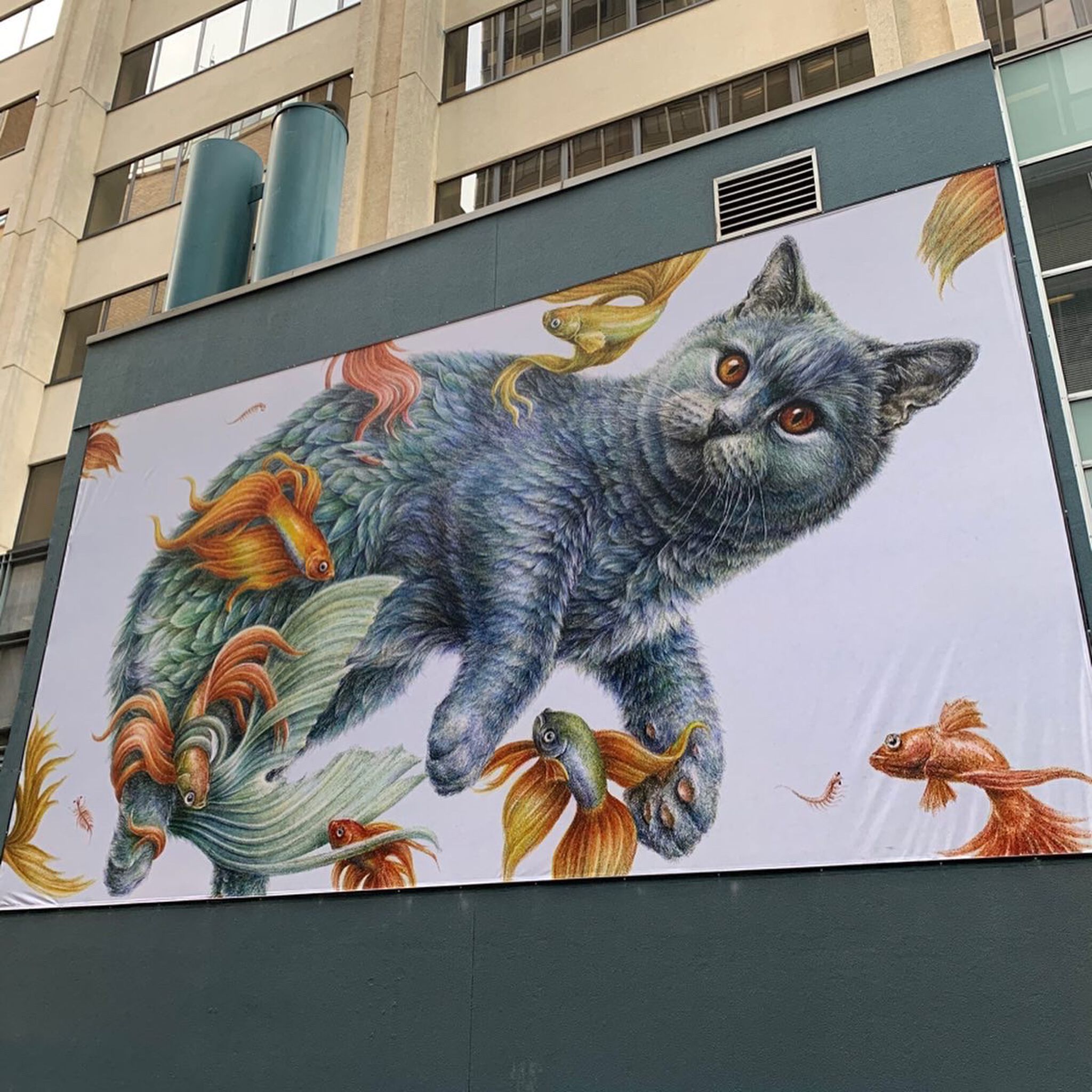 Courtney Brims&mdash;Maximum Kitten