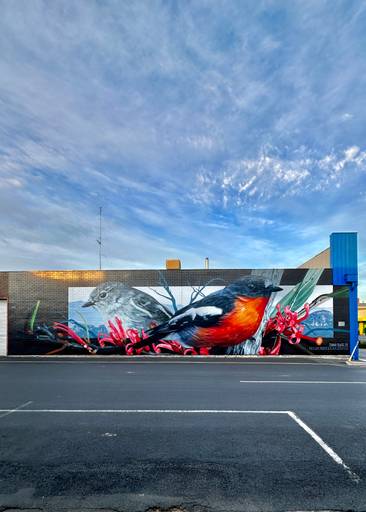 Flame Robins & Flame Grevillea