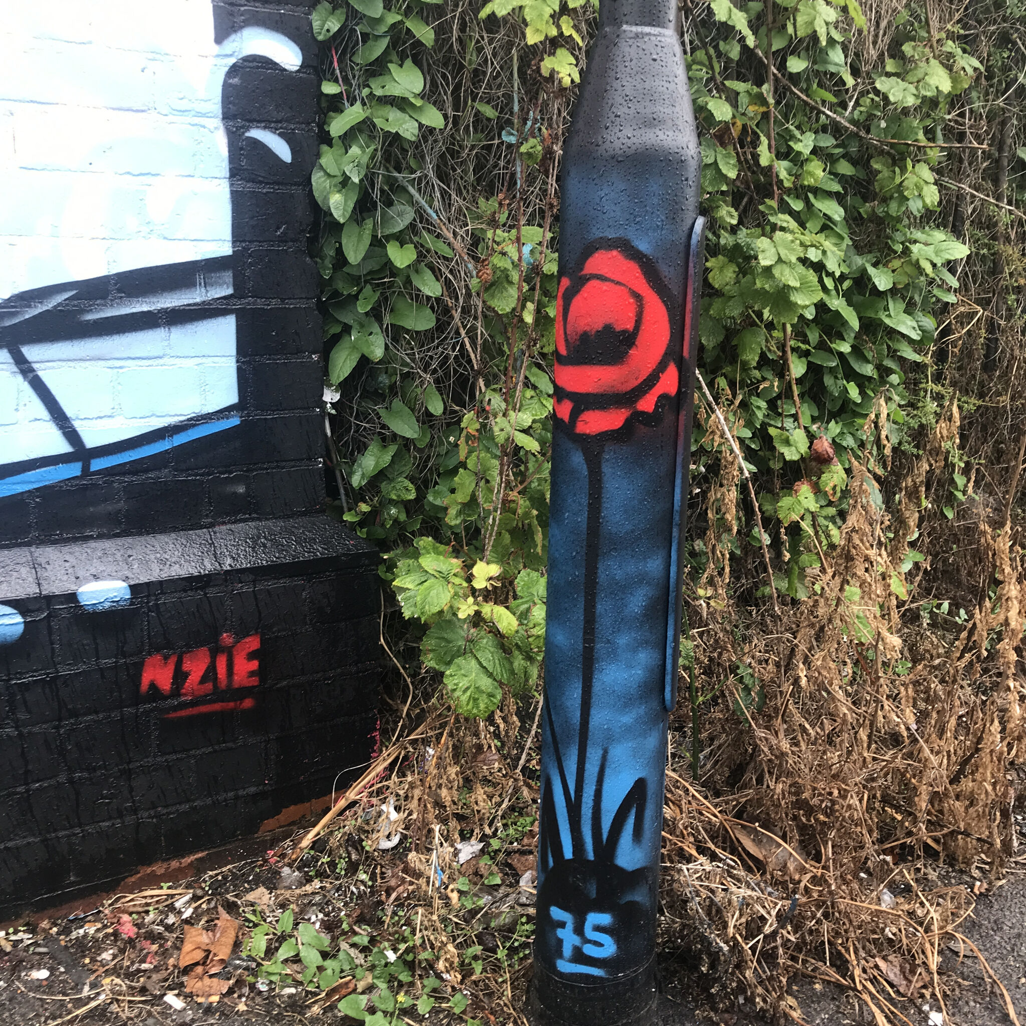 NZIE&mdash;D Day 75 Dedication
