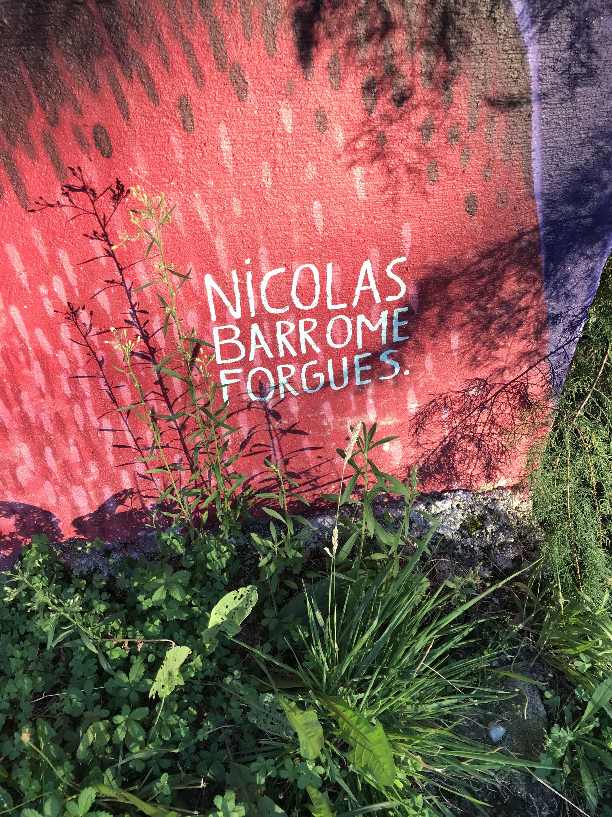 Nicolas Barrome&mdash;The Bifrons