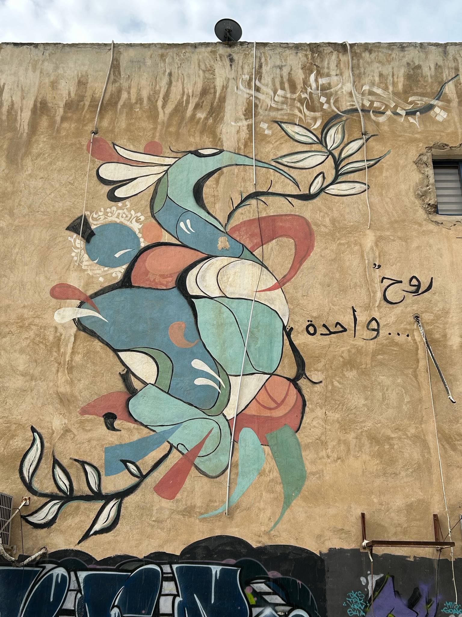 Dina Aqel&mdash;One Soul