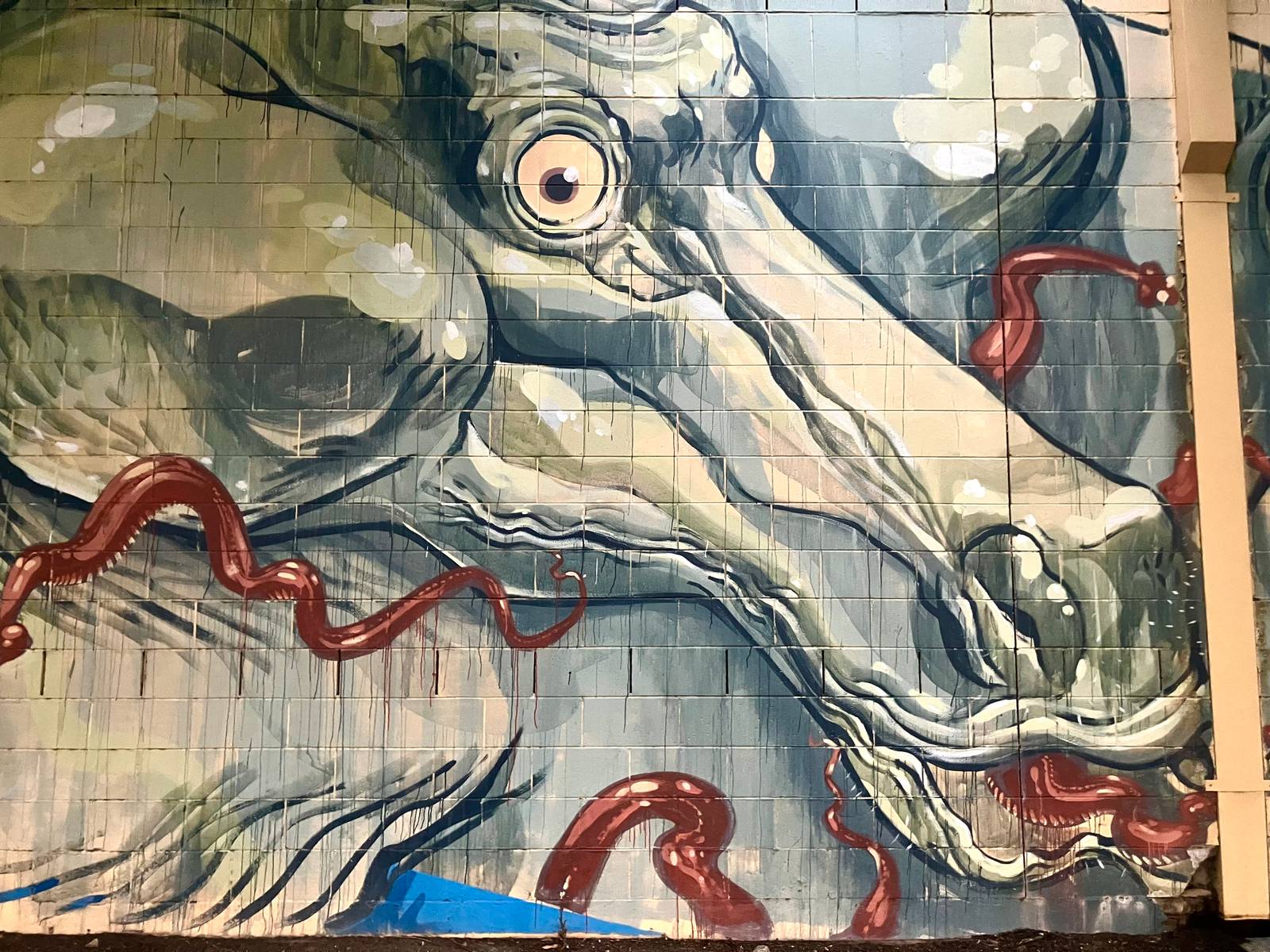 Unknown - Adelaide&mdash;undefined