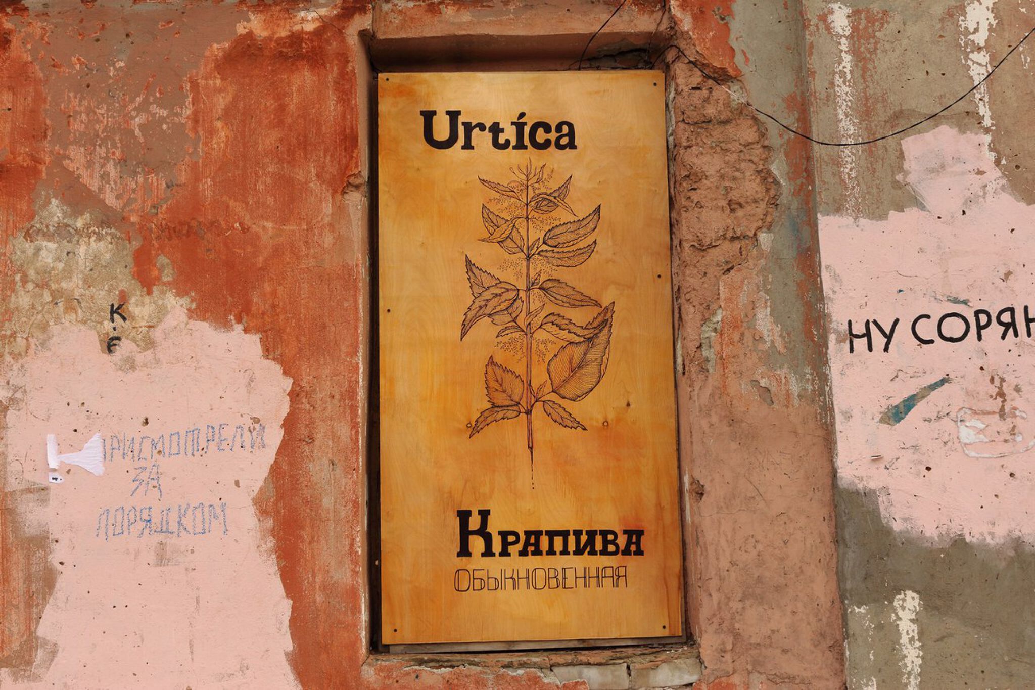 LENA LISITSA&mdash;COMMON CITIZENS