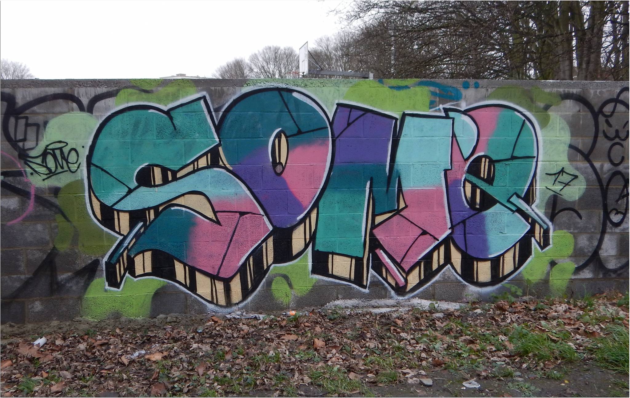 Noname, jnc, Ecto, Acide4000, nilon, nico hayer, Soke - la cabane, etc...., PsoMan&mdash;Skate Parc de Cointe