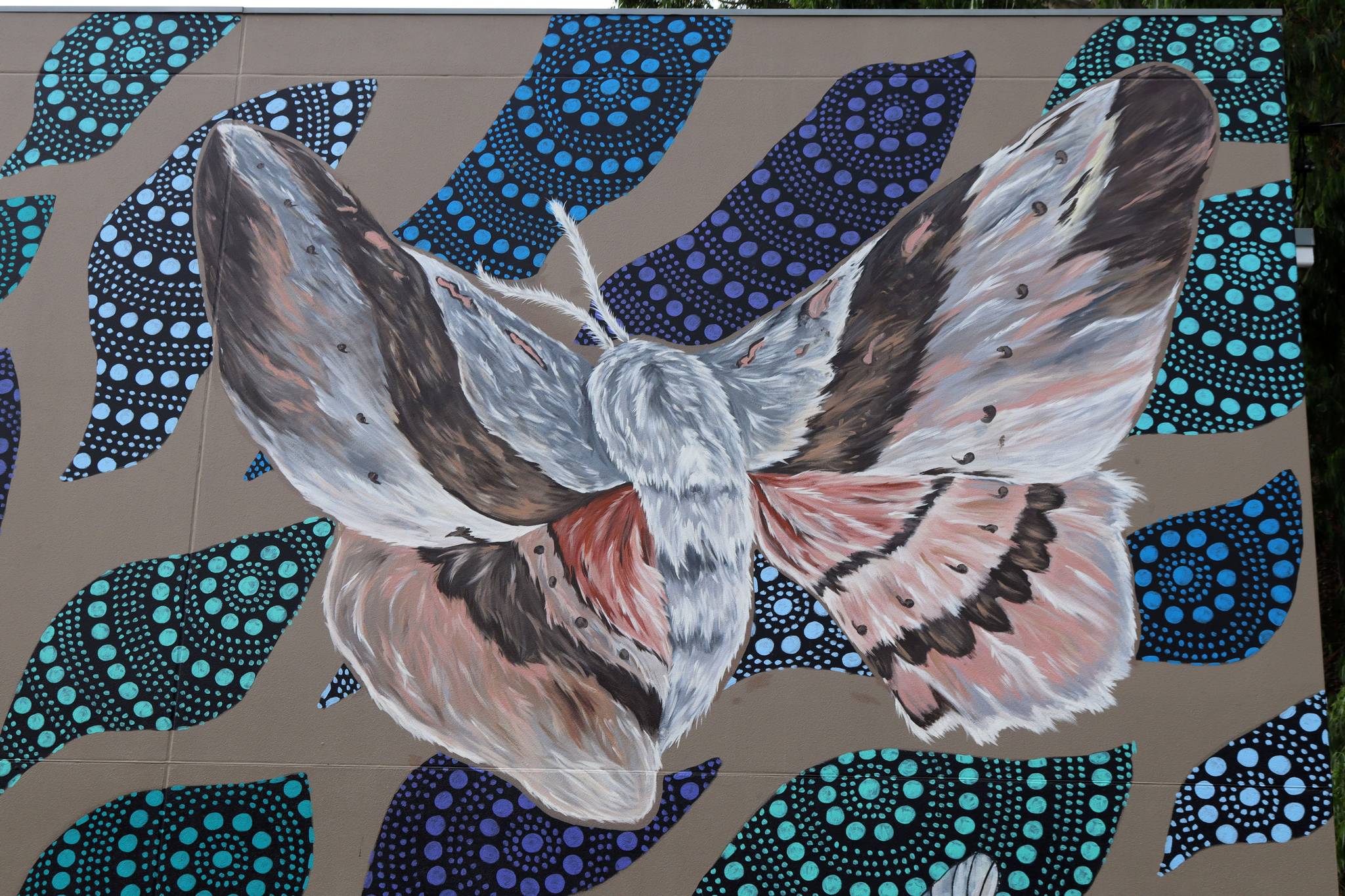 Alex Bebbington, Saltwater Dreamtime&mdash;Fishers Reserve Waterhole
