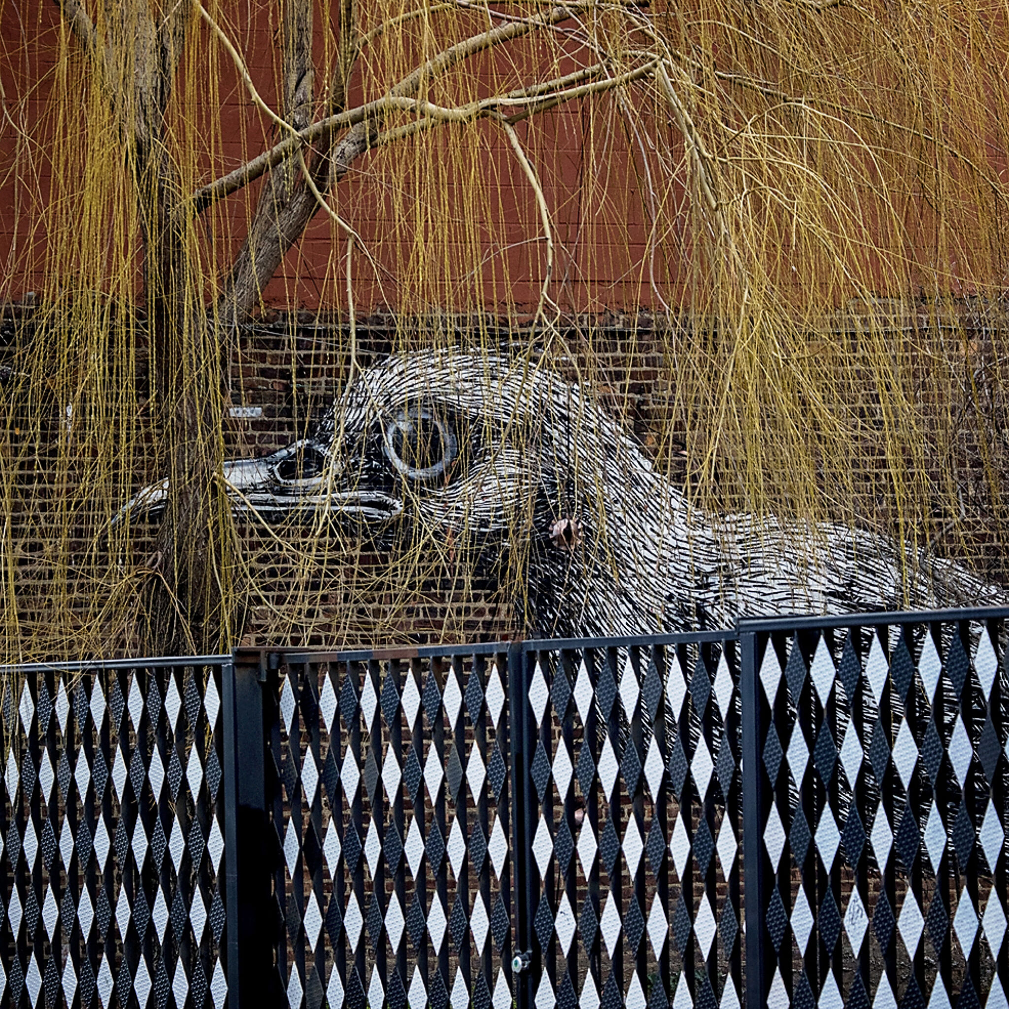 Roa&mdash;Untitled