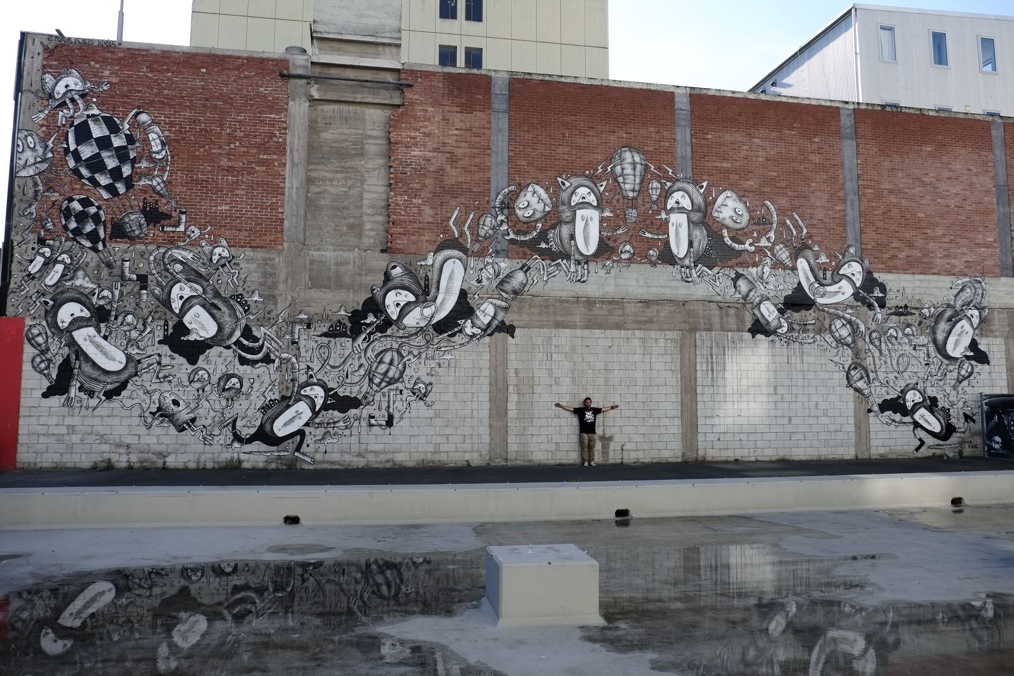 Cracked Ink&mdash;undefined