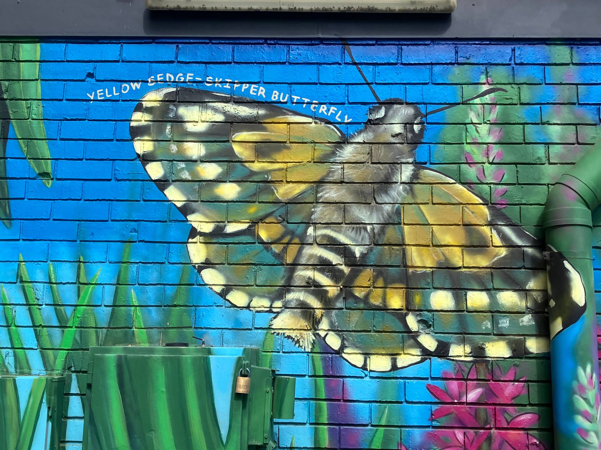 Melita Scott, Keira Scott&mdash;Little Para Wildlife