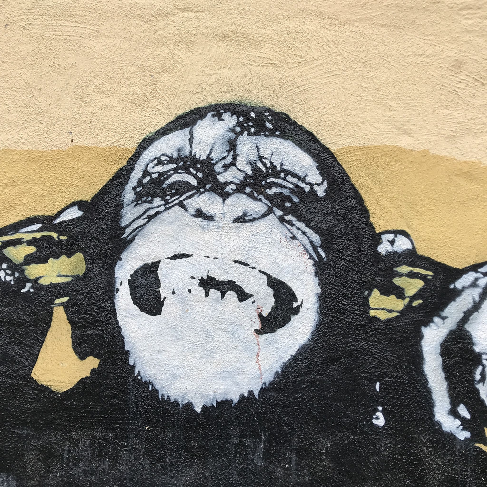 DOT DOT DOT&mdash;Monkey Buziness